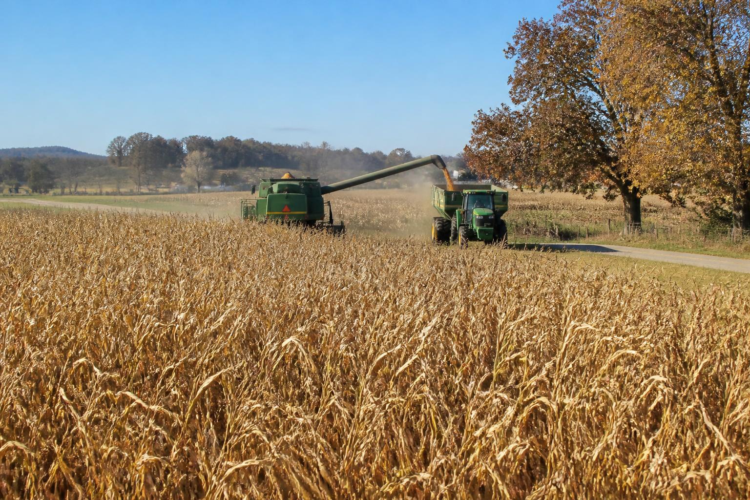 Tennessee Crop Progress and Field Protection: Preparing for the Final Push