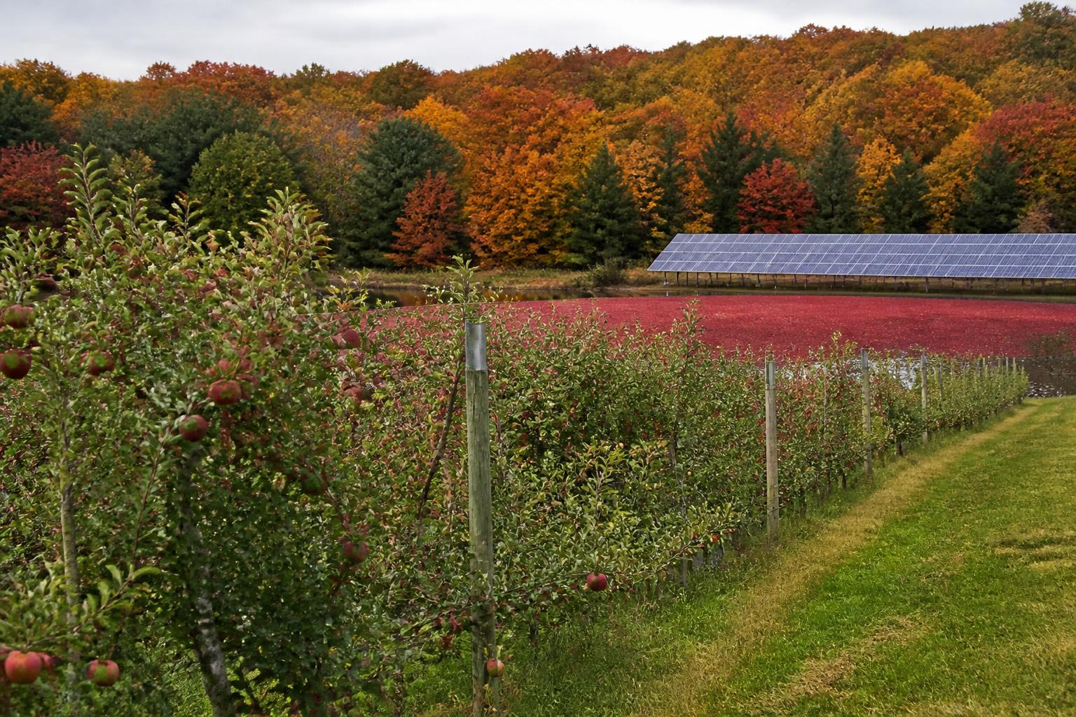 Perspectivas Agrícolas de Massachusetts: Navegando Ajustes Operativos de Fin de Temporada - AgroPost