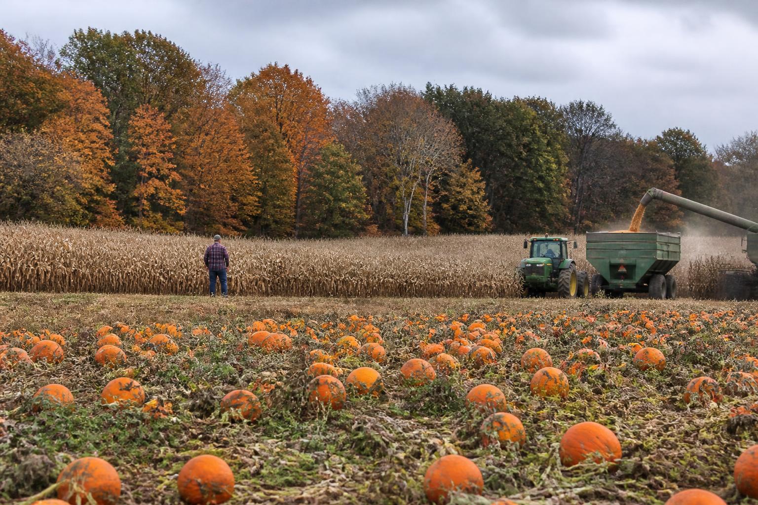 Ohio Harvest Logistics and Input Planning as Diesel Costs Weigh on 2027 Outlook