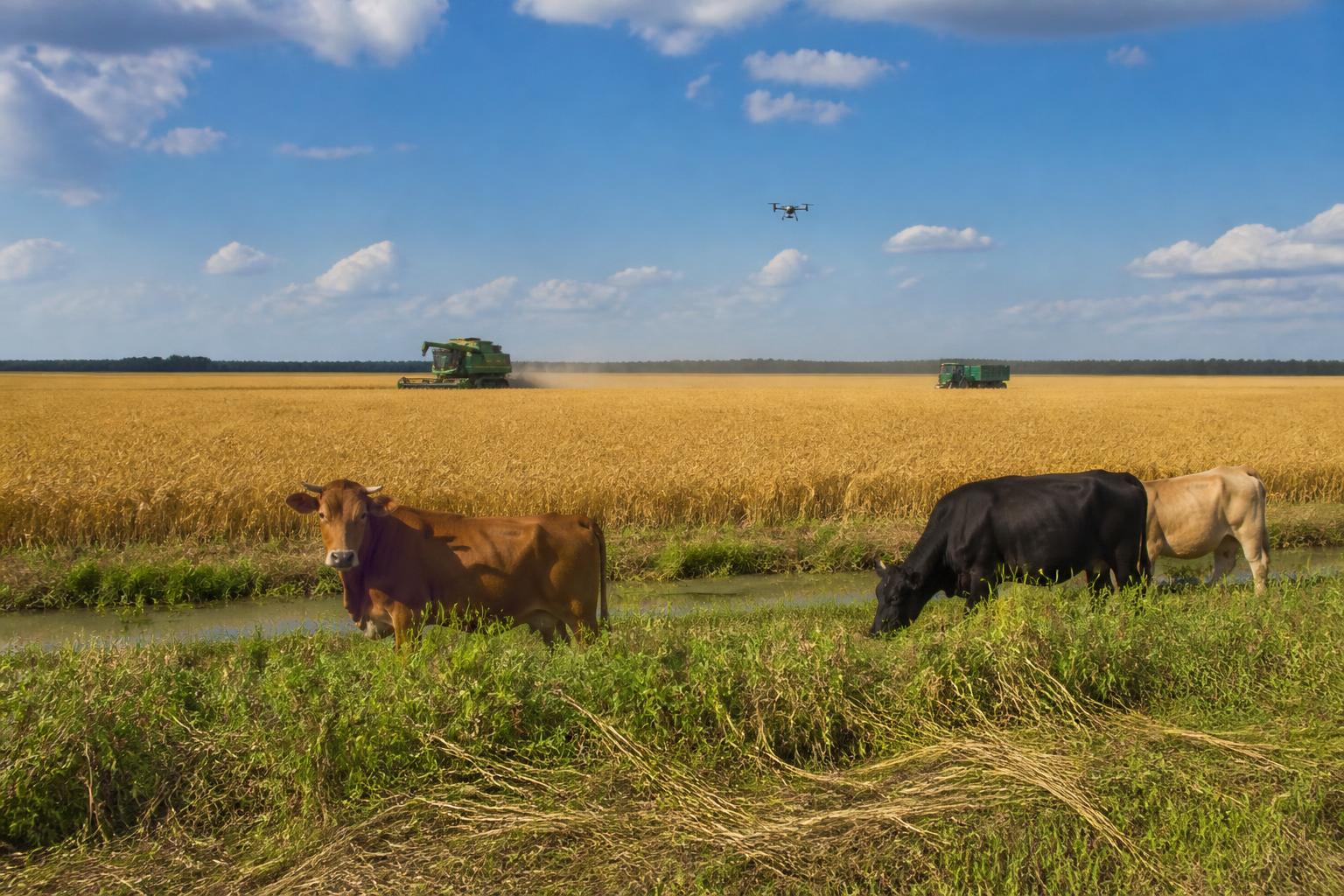 Louisiana Logistics and Tech Integration: A Fall 2026 Update