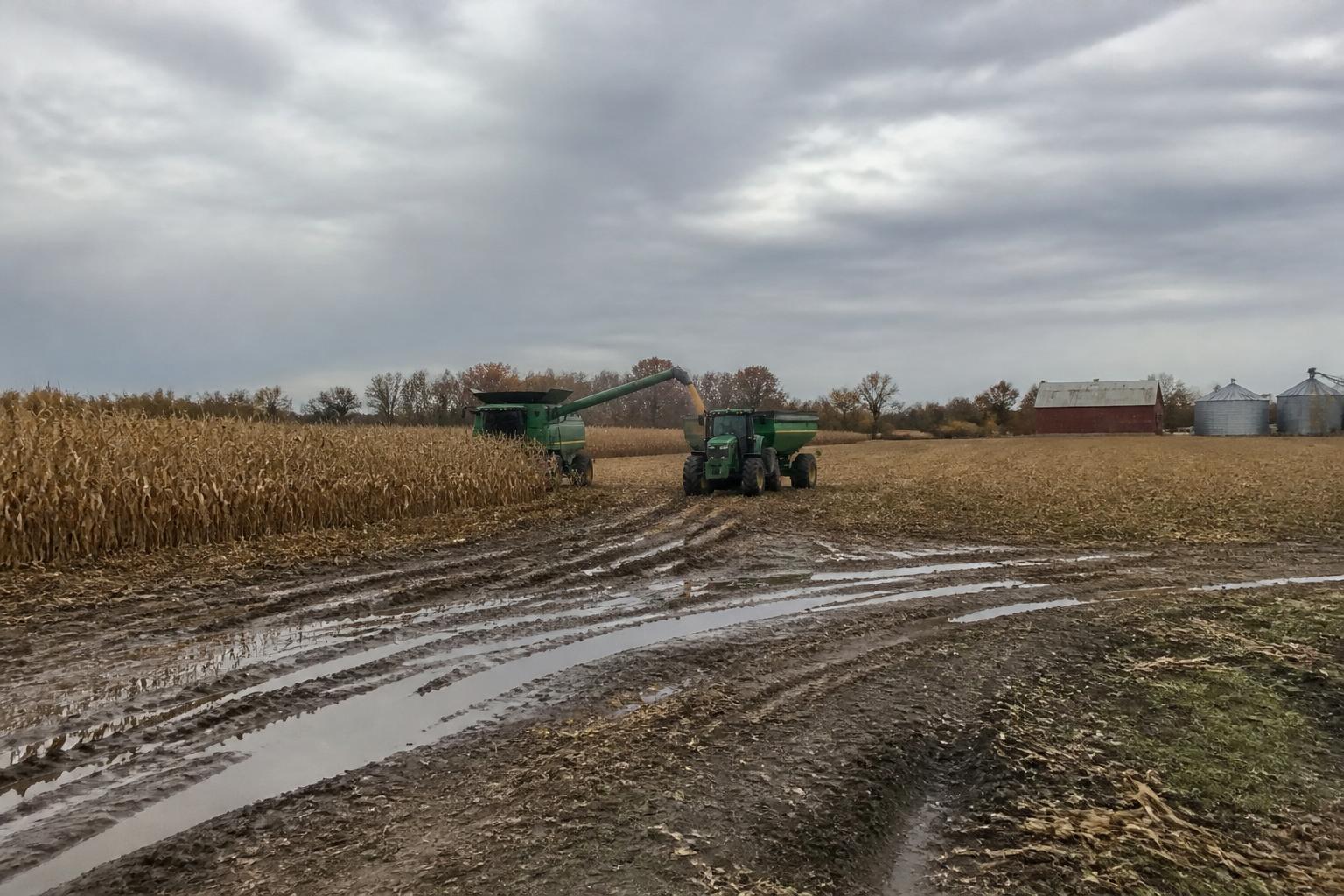 Oklahoma Grain Outlook: Adapting to Excess Moisture and Shifting Market Stocks - AgroPost