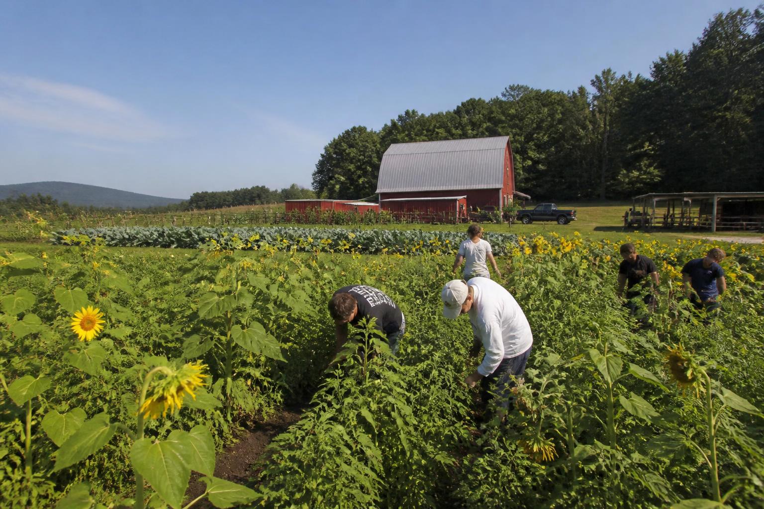 West Virginia Ag Transport: Navigating Biomass, Poultry Logistics, and Summer Mountain Routes