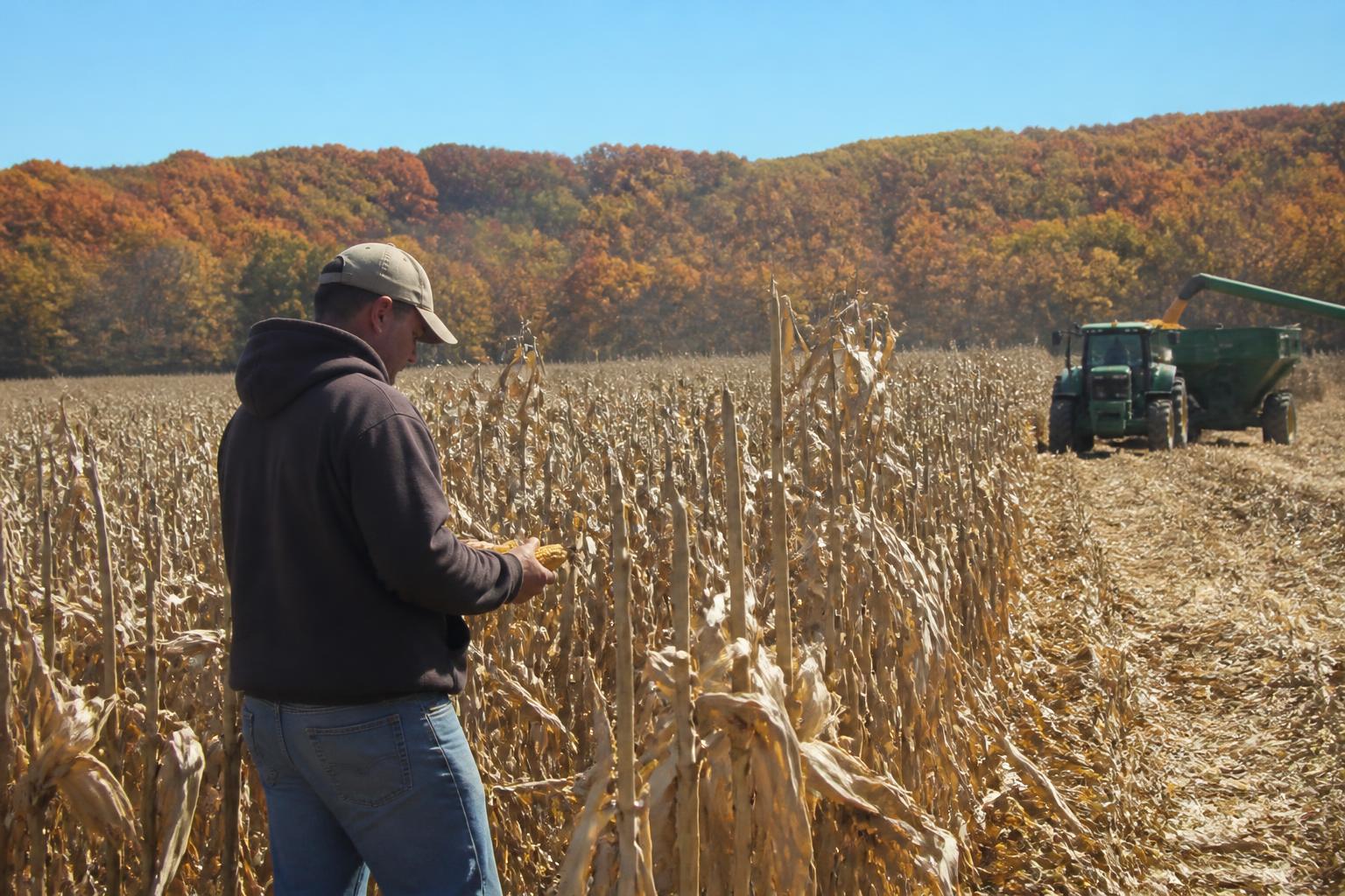 Navigating Late-Season Harvest Risks and Input Planning in Ohio