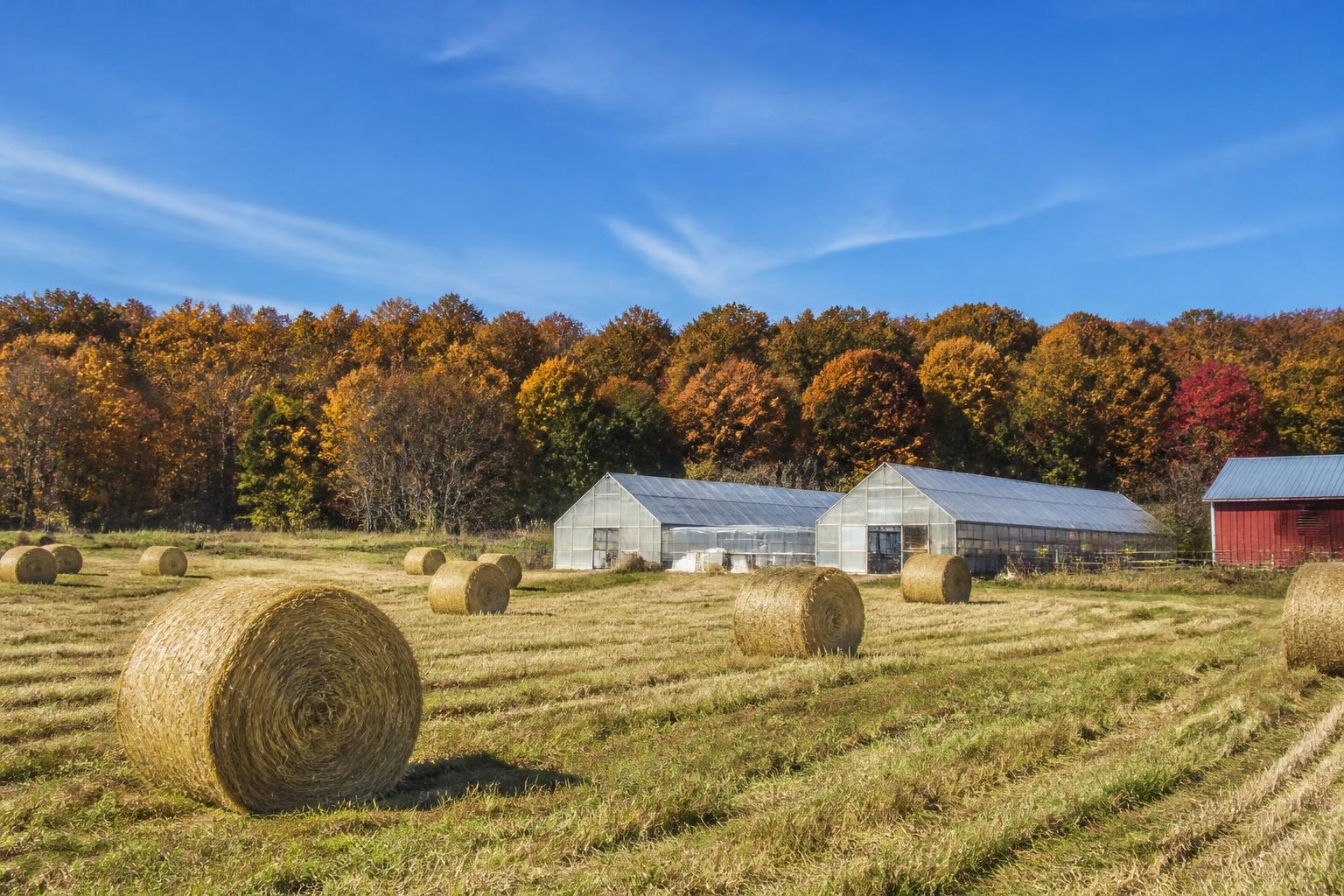 Wyoming Ag Sector Shifts Toward Controlled Environment Technology and Research