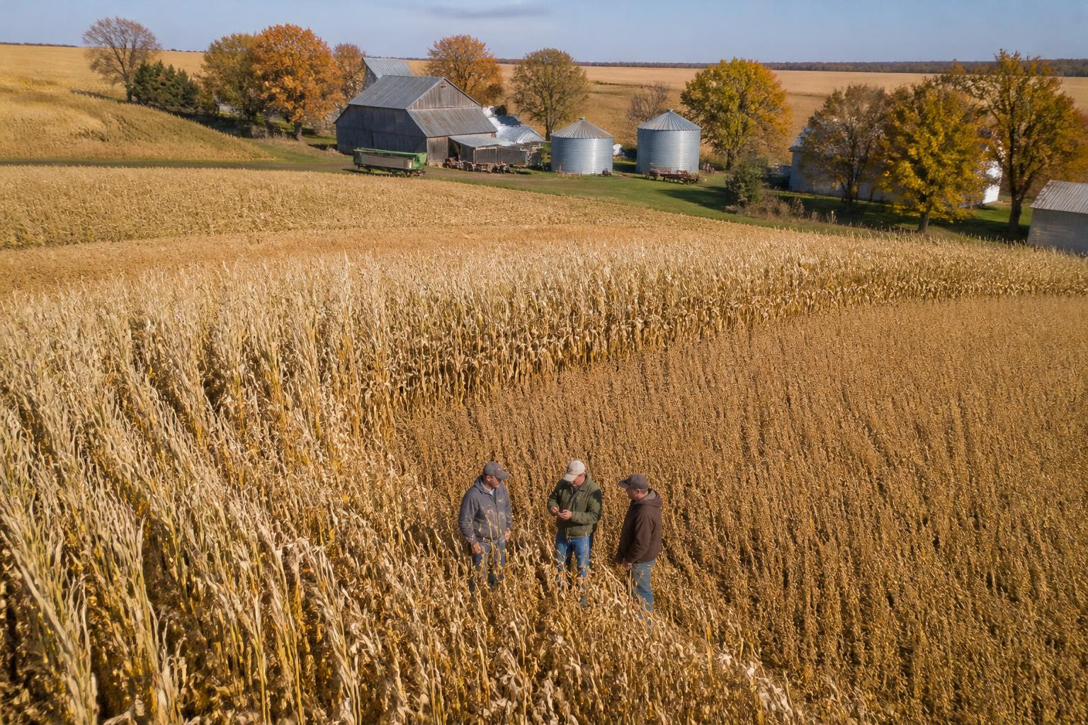 Managing Crop Protection and Yield Variability in Kansas Fields