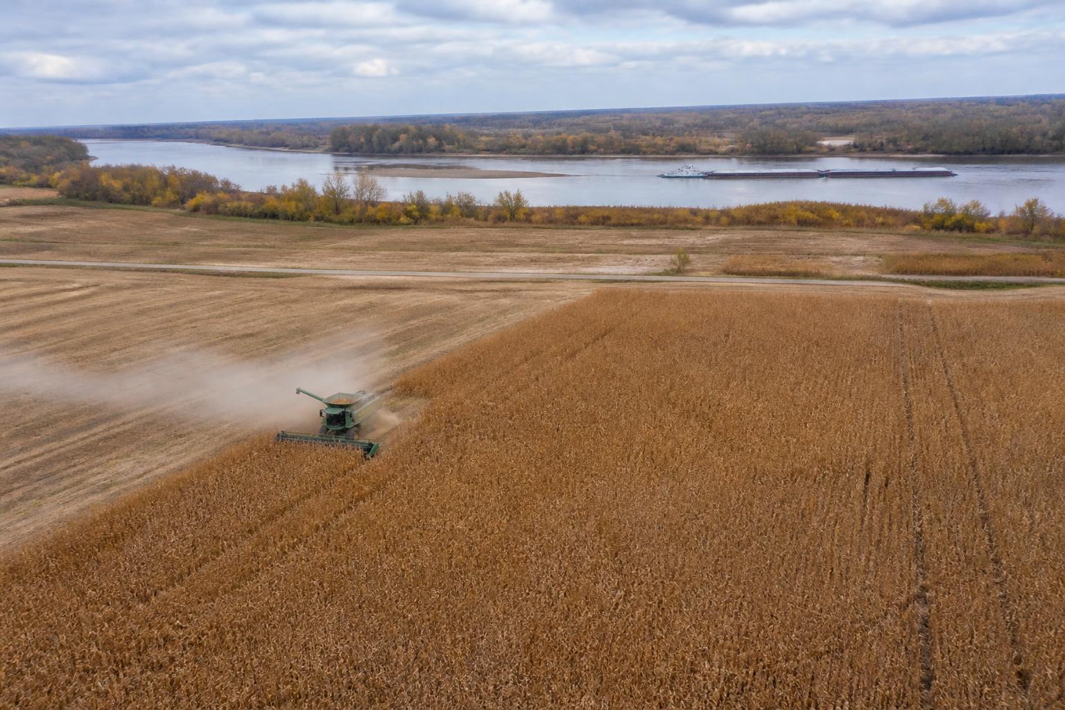 Low River Levels Pressure Mississippi Fertilizer Markets