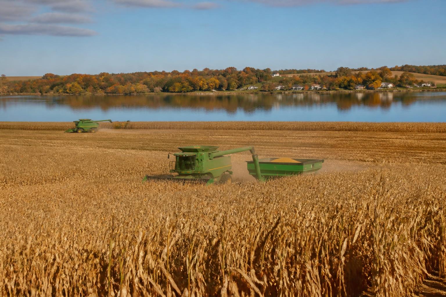 Minnesota Harvest Progress: Assessing Yields and Storage Logistics