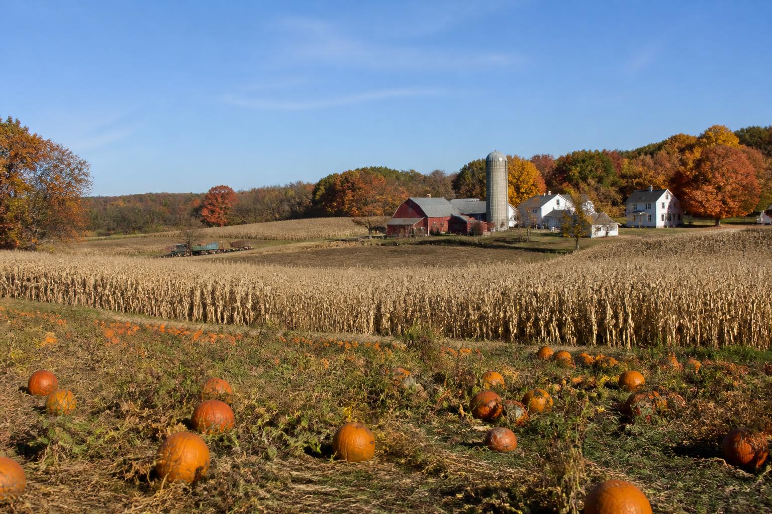 Connecticut Grain Markets Navigate Volatile Late-Harvest Trends