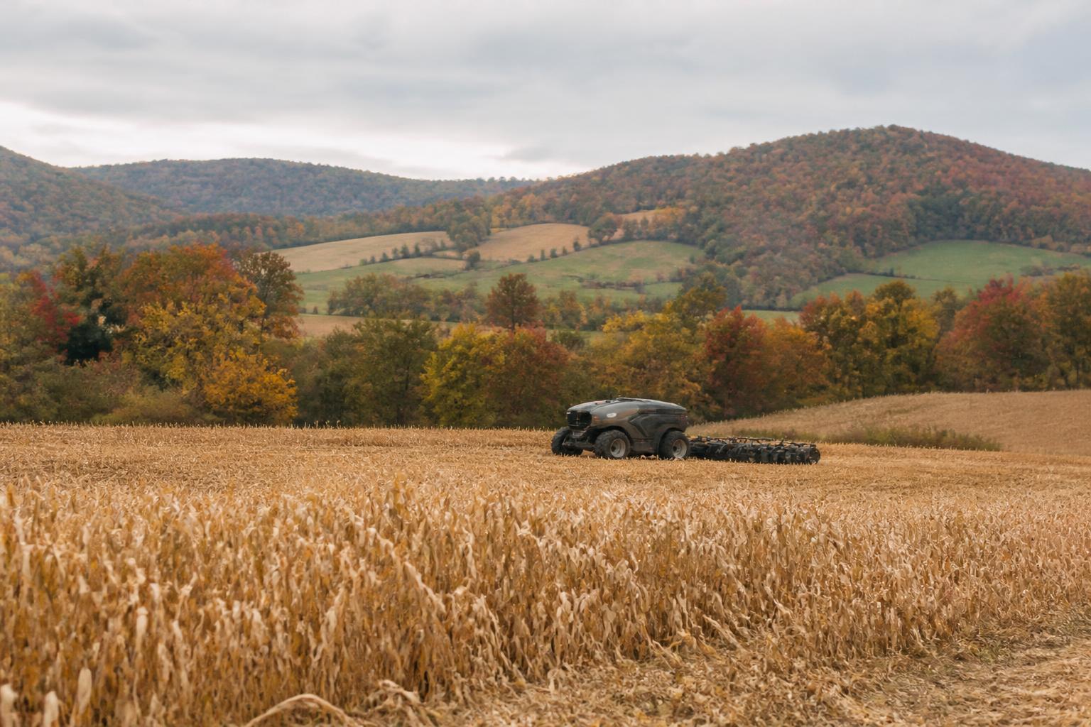 Kentucky Grain Outlook: Assessing Market Shifts and Seasonal Logistics