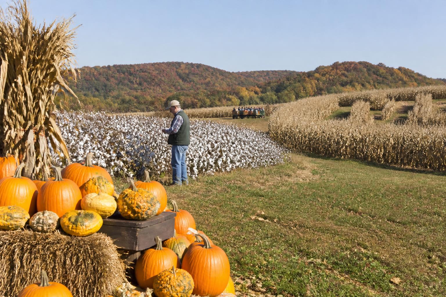 Virginia Fertilizer Market Update: Navigating Supply Shifts and Soil Health