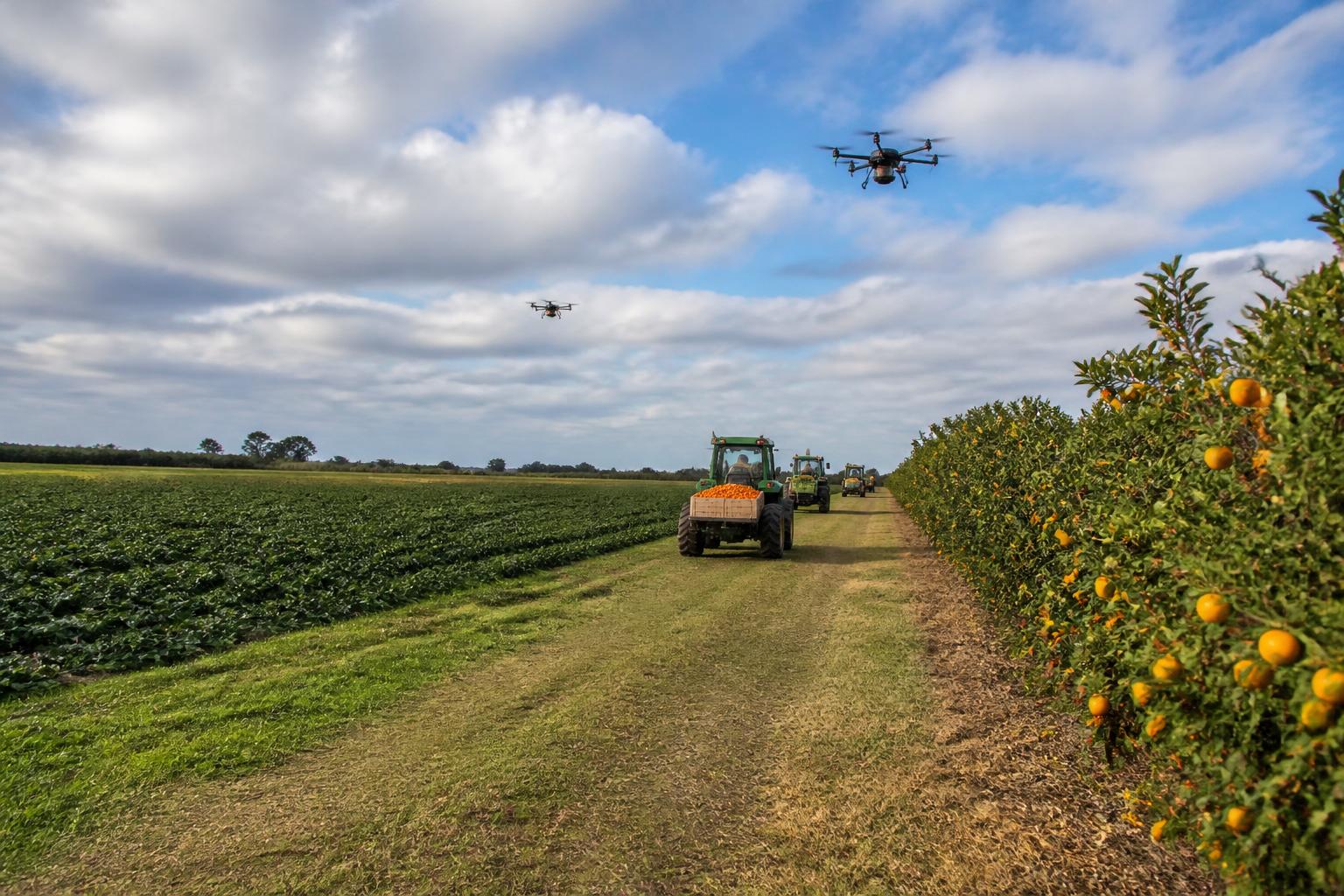 Florida Ag Transport Update: Navigating Seasonal Logistics and Compliance