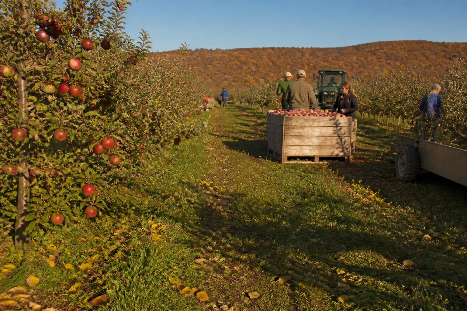 Pennsylvania Agricultural Resilience: Investing in Infrastructure and Sustainability