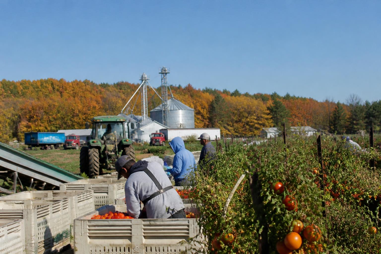 Perspectiva Agrícola de Rhode Island: Equilibrando el Aumento de Costos de Insumos y Logística Estacional
