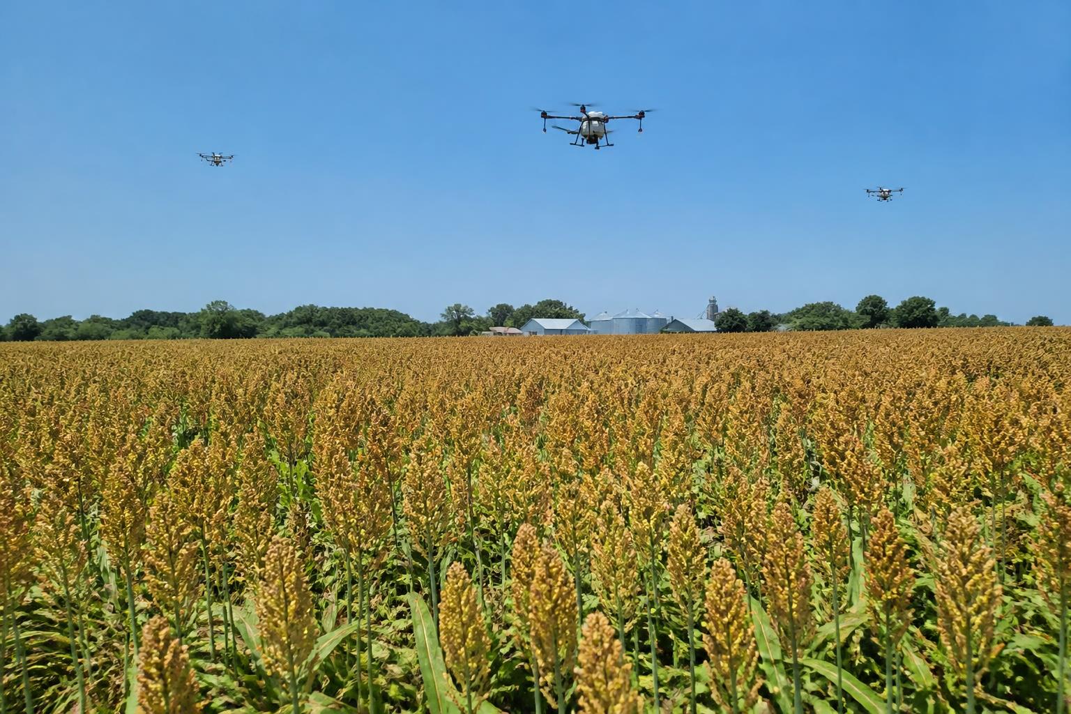 New Jersey Fertilizer Trends: Balancing Long-Term Market Projections with Active Summer Security