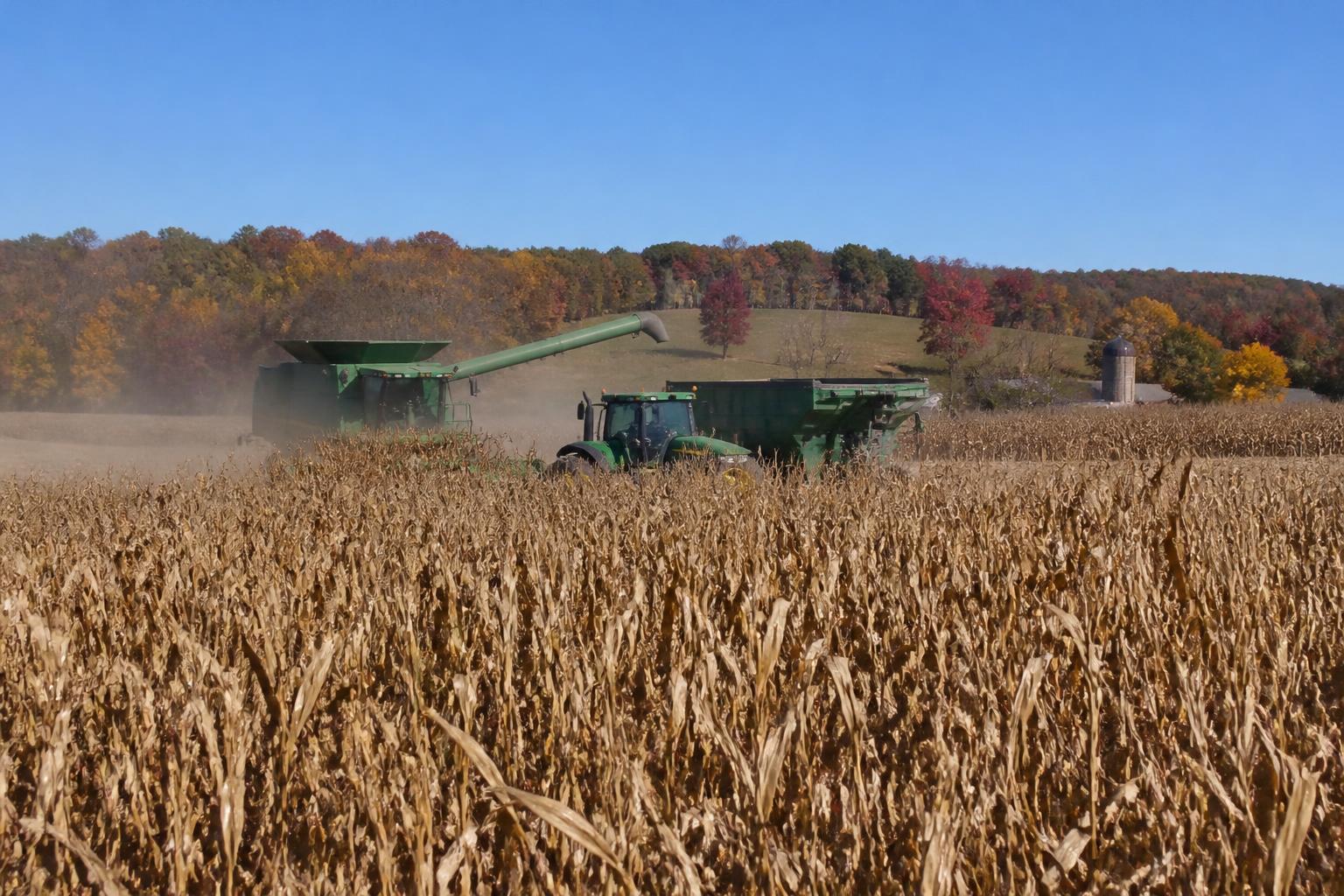 Strong Yields and Financial Outlook Anchor Iowa Agriculture this Fall