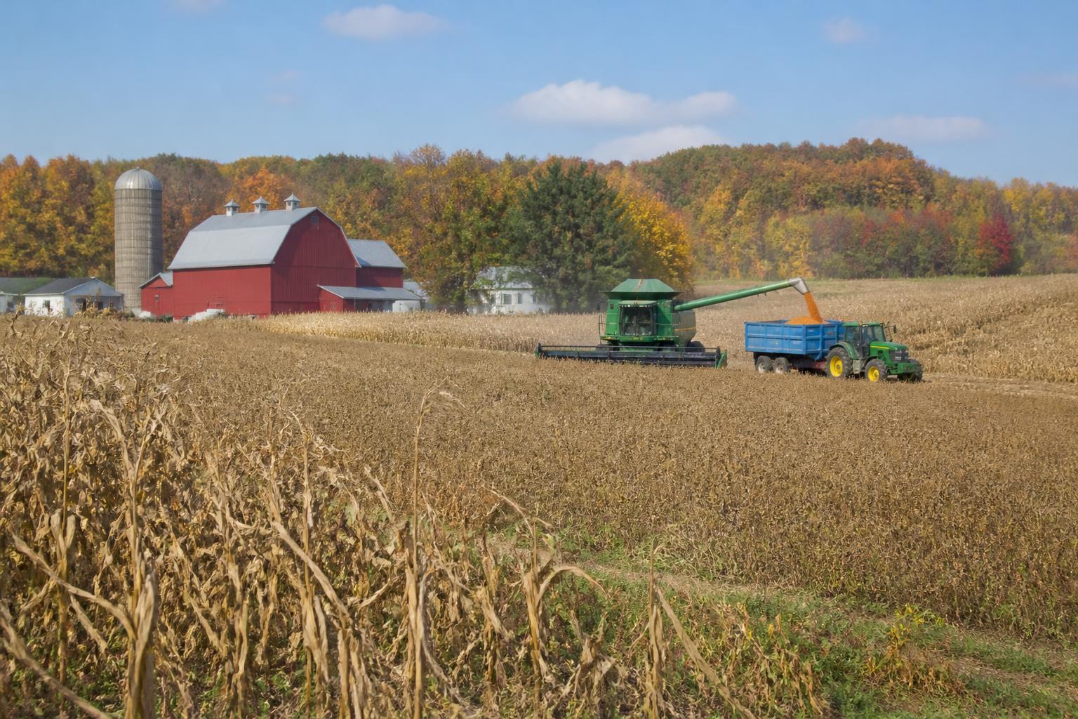 Perspectivas de Granos en Connecticut: Navegando Cambios en el Mercado a Finales de Octubre