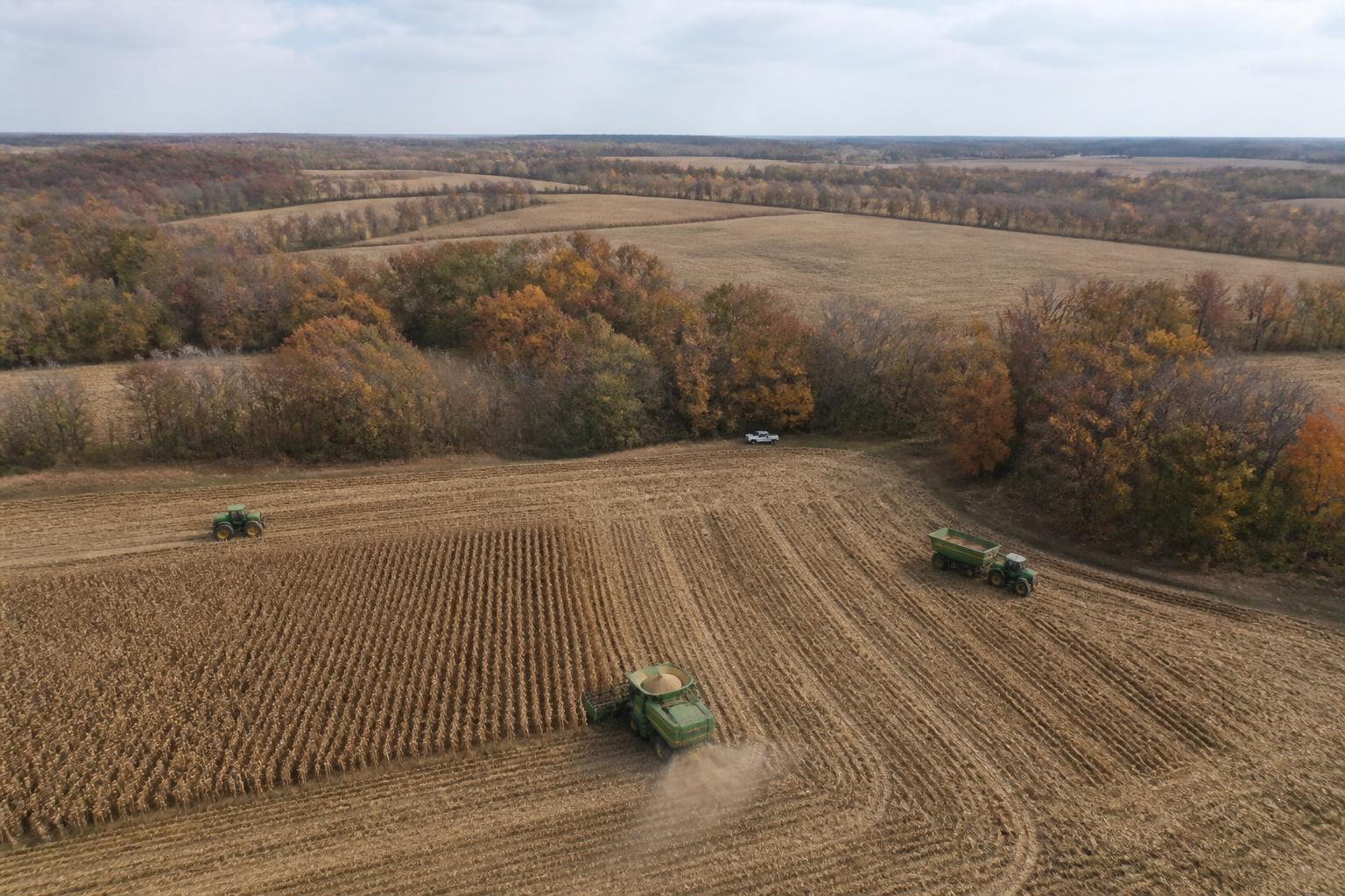 Perspectivas de Protección de Cultivos y del Mercado en Arkansas a Medida que Avanza la Temporada de Cosecha - AgroPost