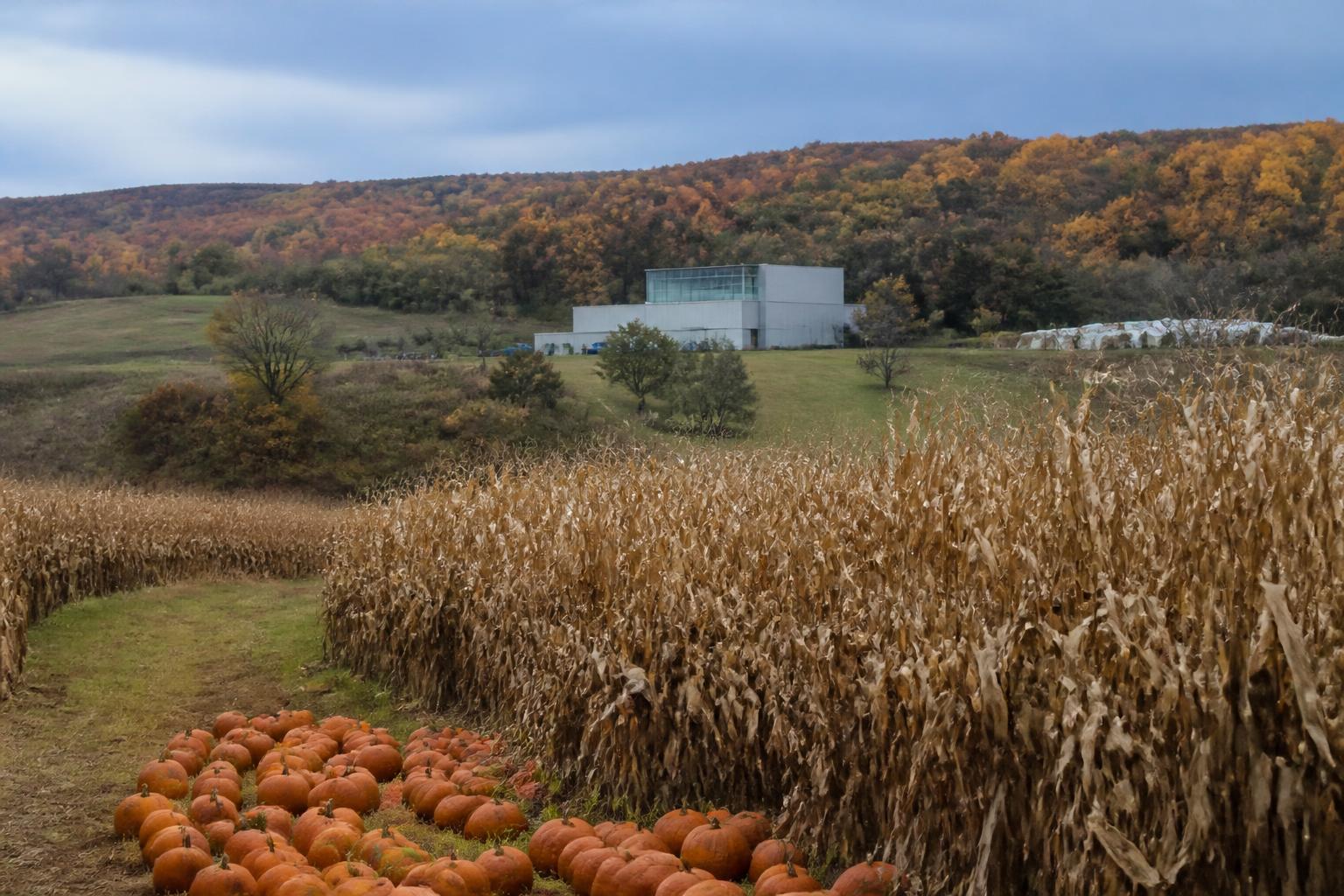 Logística de la Cosecha de Otoño y Estrategia de Mercado en Alaska - AgroPost