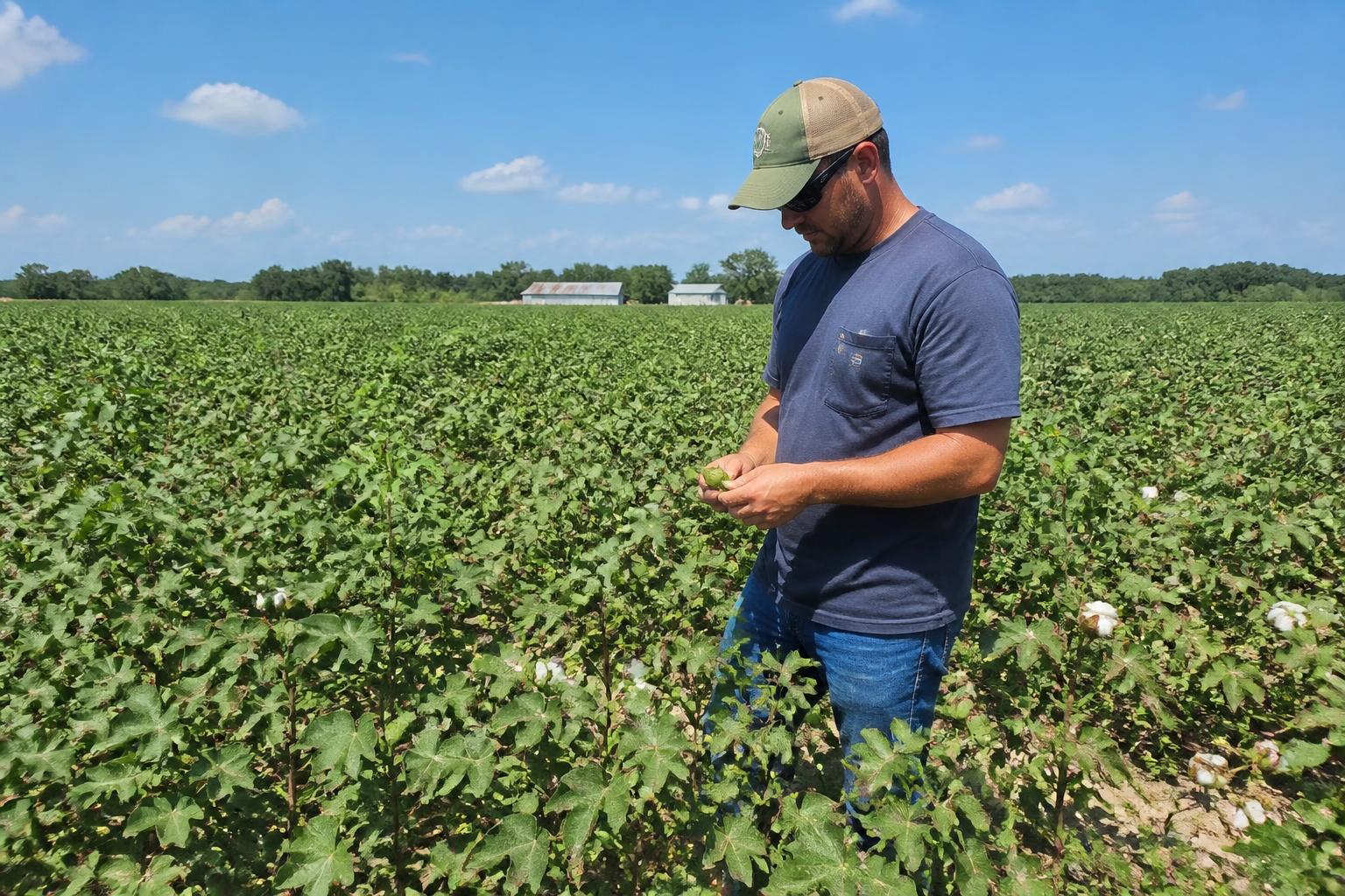 Tennessee Summer Ag Market: Navigating Volatile Input Costs and Promoting Local Crops