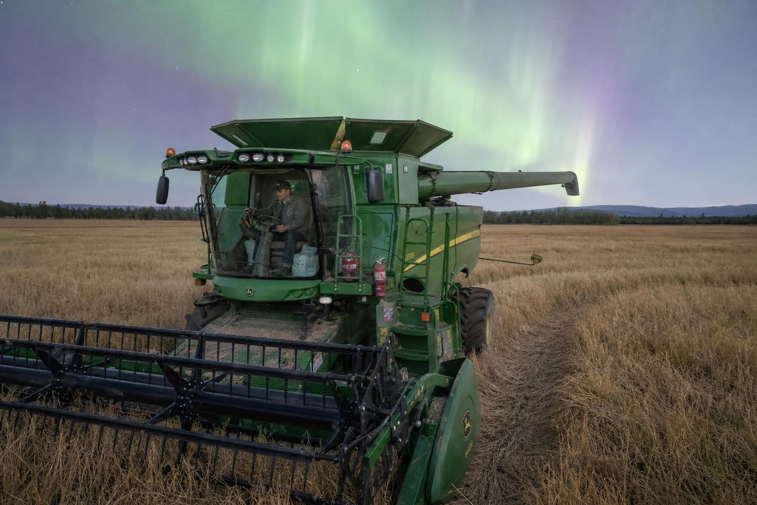 Alaska's Grain Market: Navigating Barriers and Exploring Opportunities - AgroPost