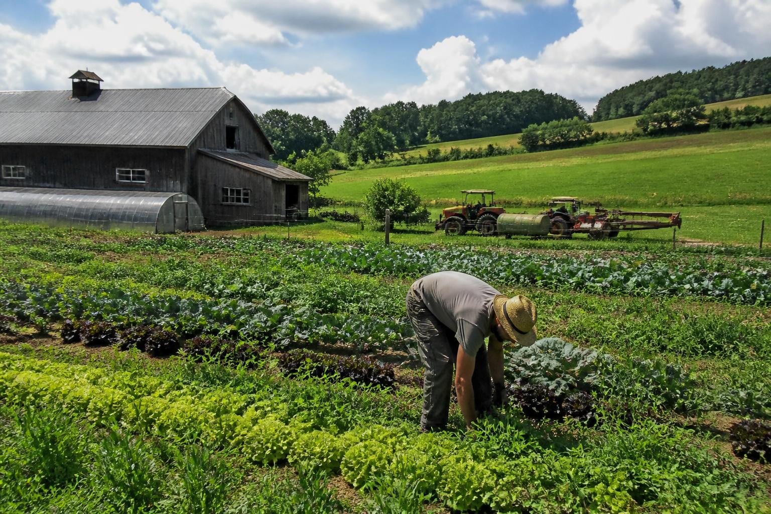 Pennsylvania Crop Protection: Safe Pesticide Disposal, Farmland Preservation, and Environmental Safeguards