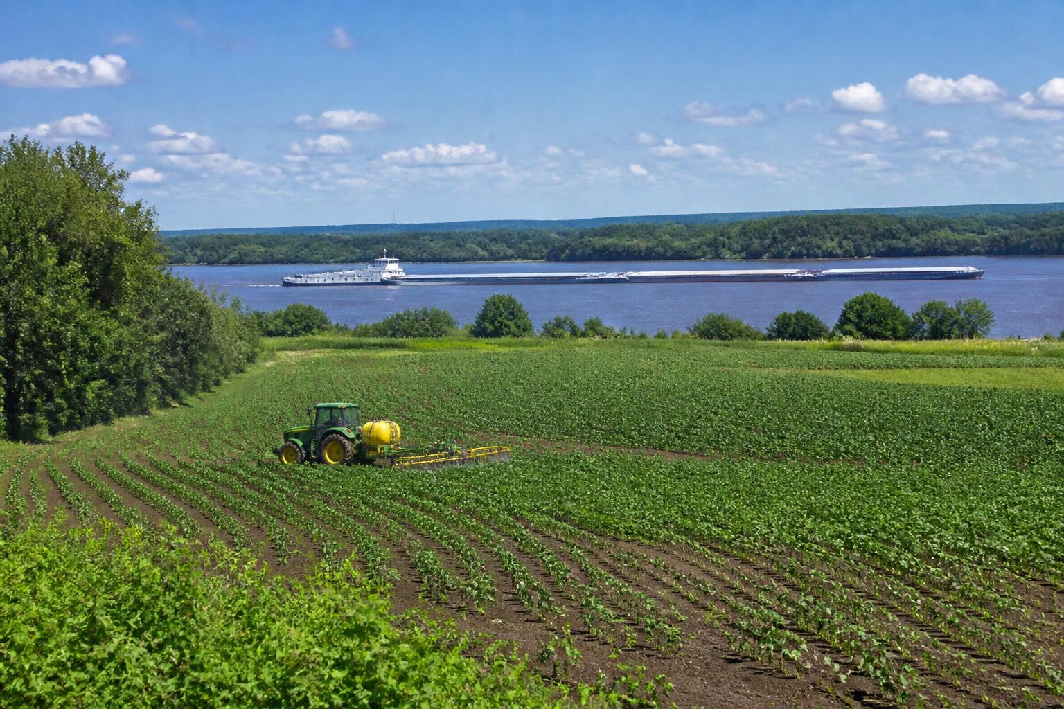 Mississippi Grain Market: Navigating River Logistics and Export Dynamics in the Delta