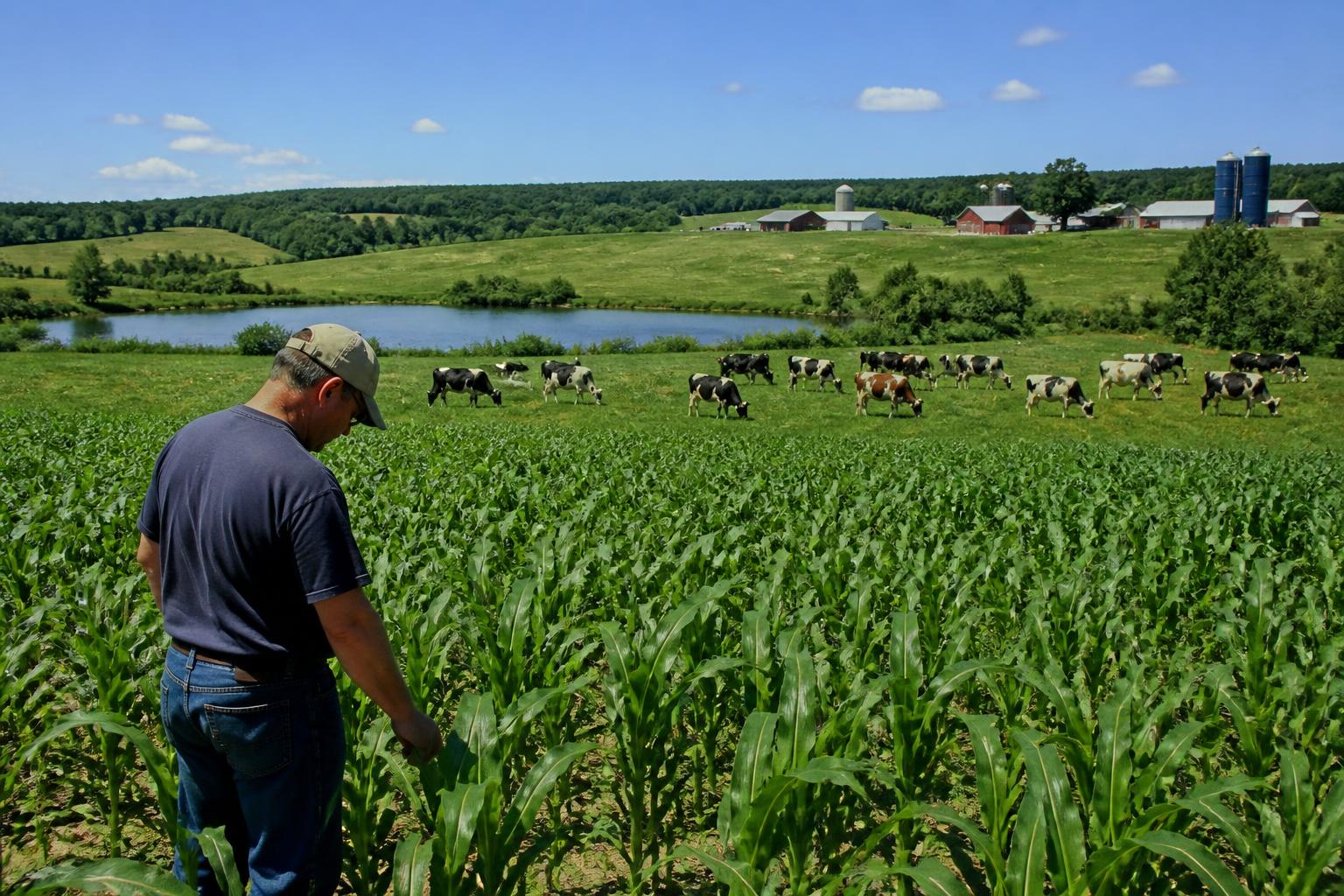 Vermont Restrict l'utilisation des intrants de protection des cultures alors que l'examen du lac Champlain s'intensifie
