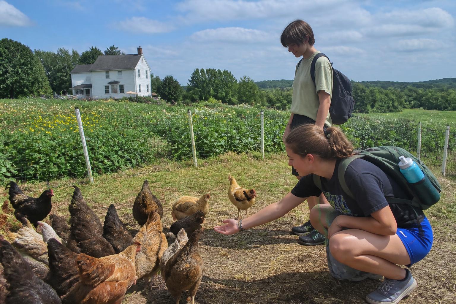 Rhode Island Summer Ag Outlook: Navigating Local Soil Inputs, Agritourism, and Environmental Regulations