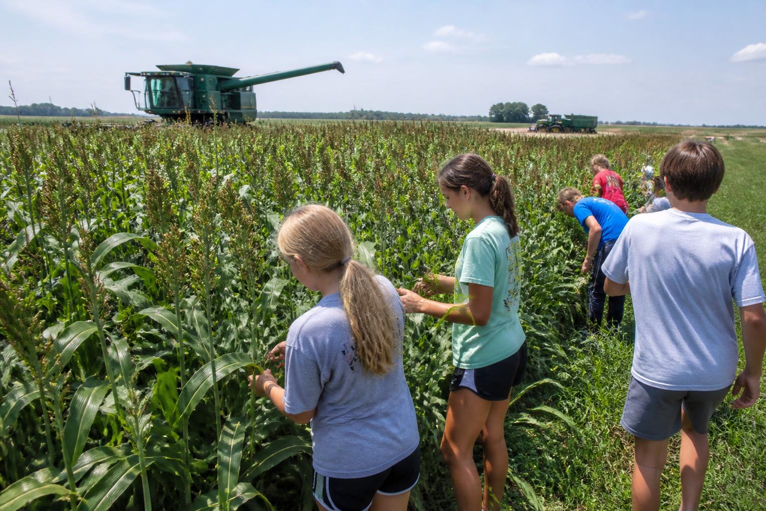 Nebraska Ag Transport Update: Infrastructure Investments and Legislative Moves Shape Summer Logistics