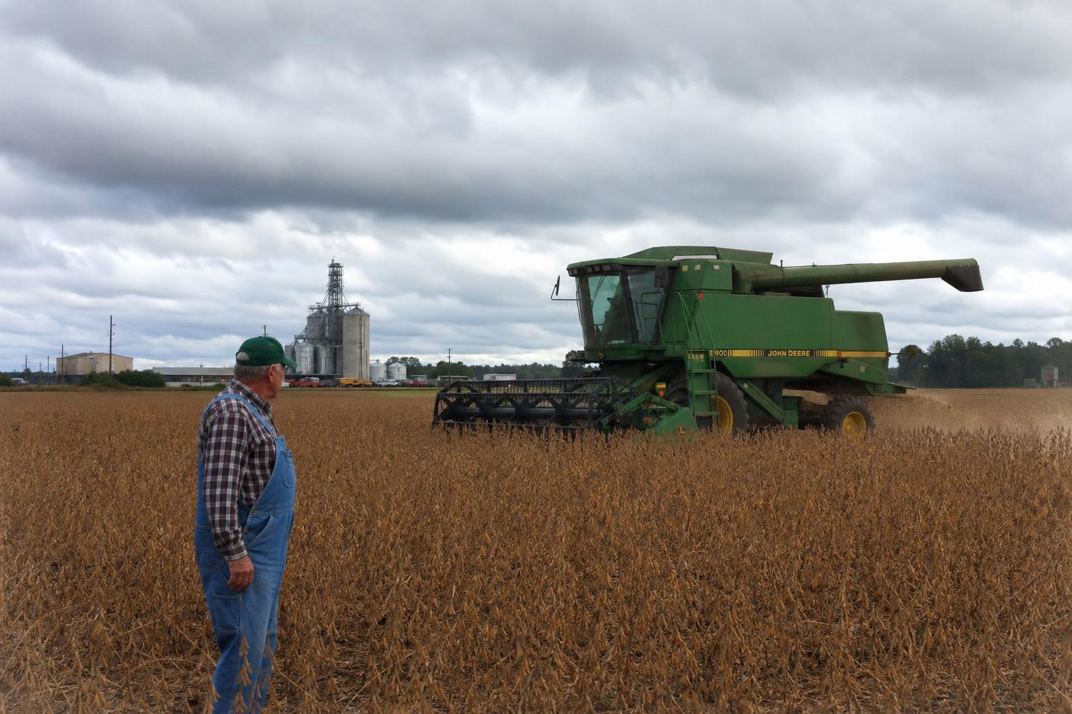 Alabama's Soybean Market: Navigating Uncertain Waters Amid Weather Variability - AgroPost