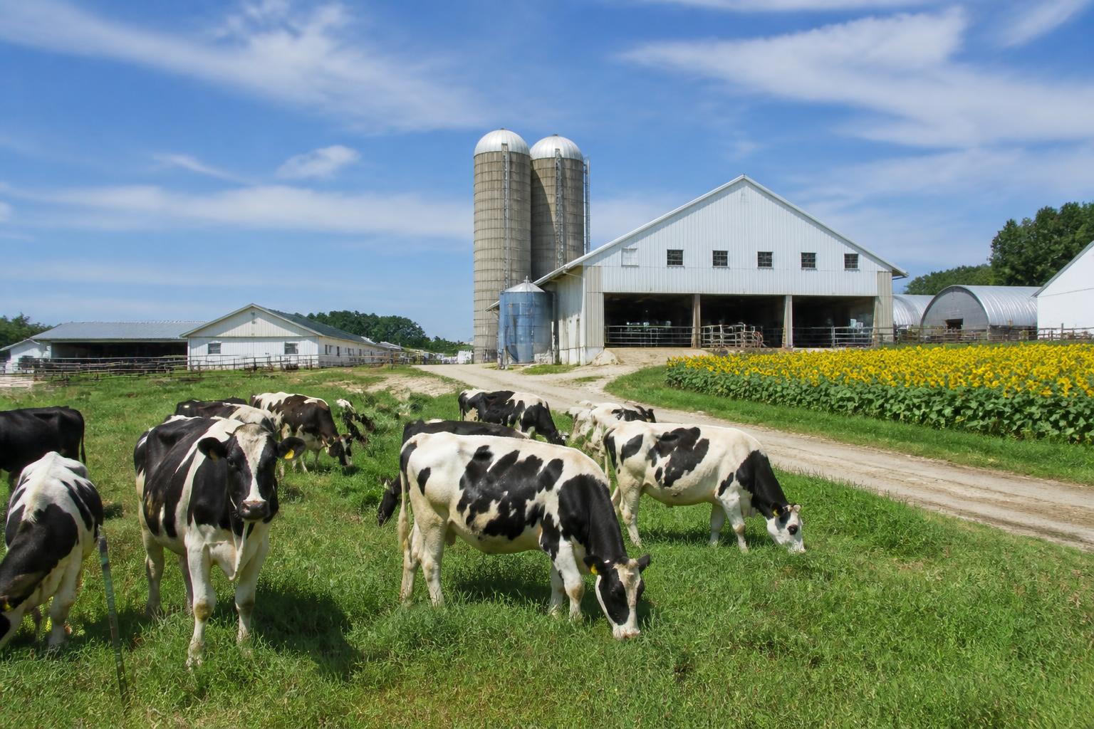 Missouri Ag Insights: Navigating Tick Risks, Dairy Tech, and Biofuel Policy in Mid-Summer