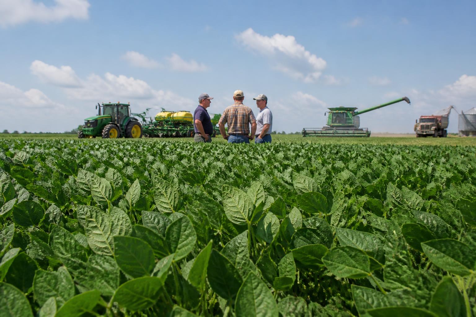 Tennessee Growers Navigate Weather Pressures, Input Squeeze, and Regulatory Shifts