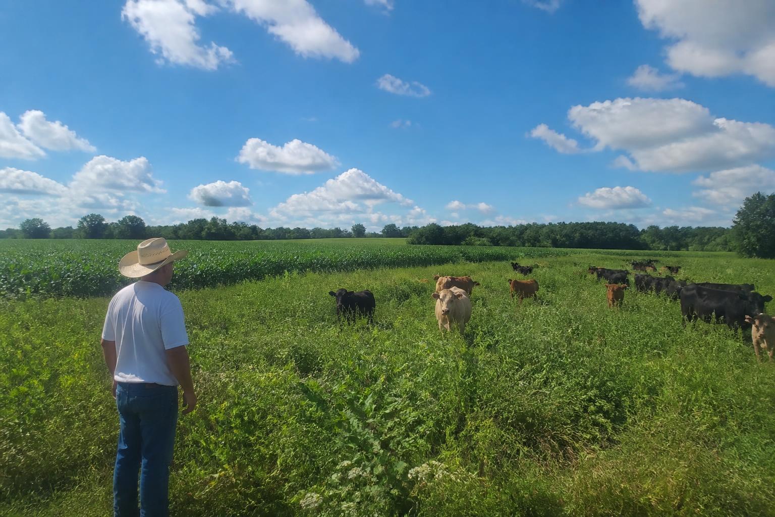 Kentucky Ag Sector Navigates Economic Headwinds with Storage Innovations and Infrastructure Growth