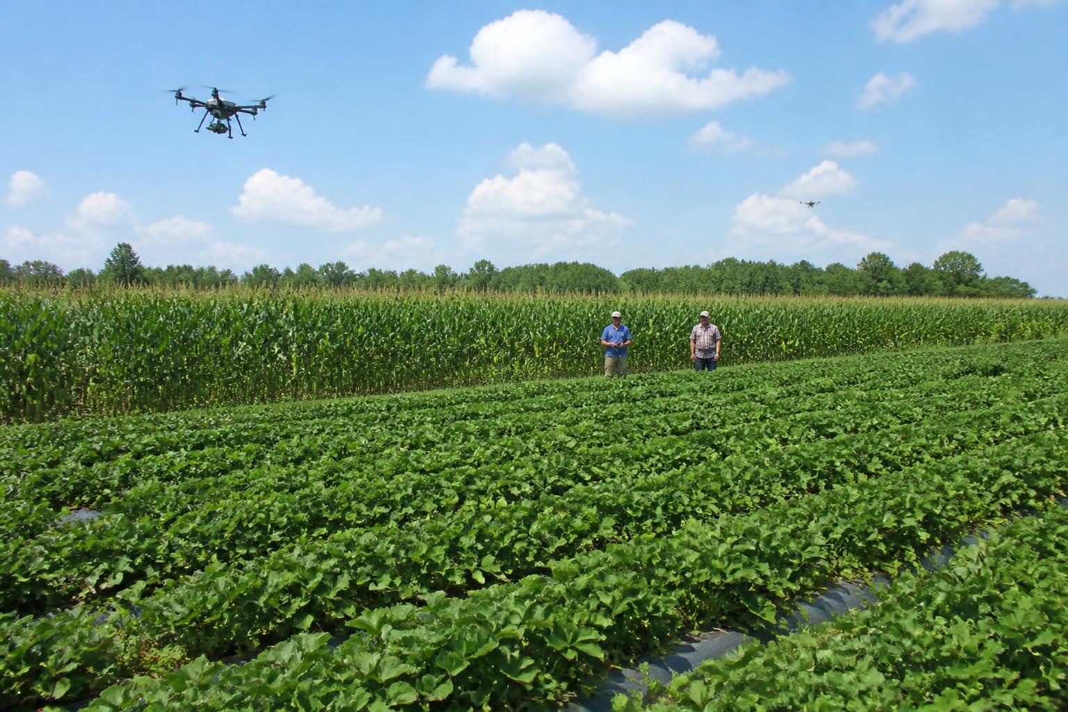 Florida Farmland Markets: Conservation Easements and Tech Innovations Shape Summer Outlook