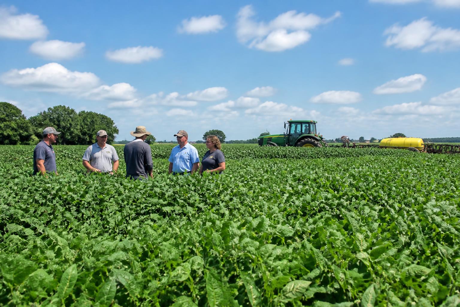 Louisiana Grain Markets: Soybeans Lead Summer Export Bids as Gulf Logistics Shift