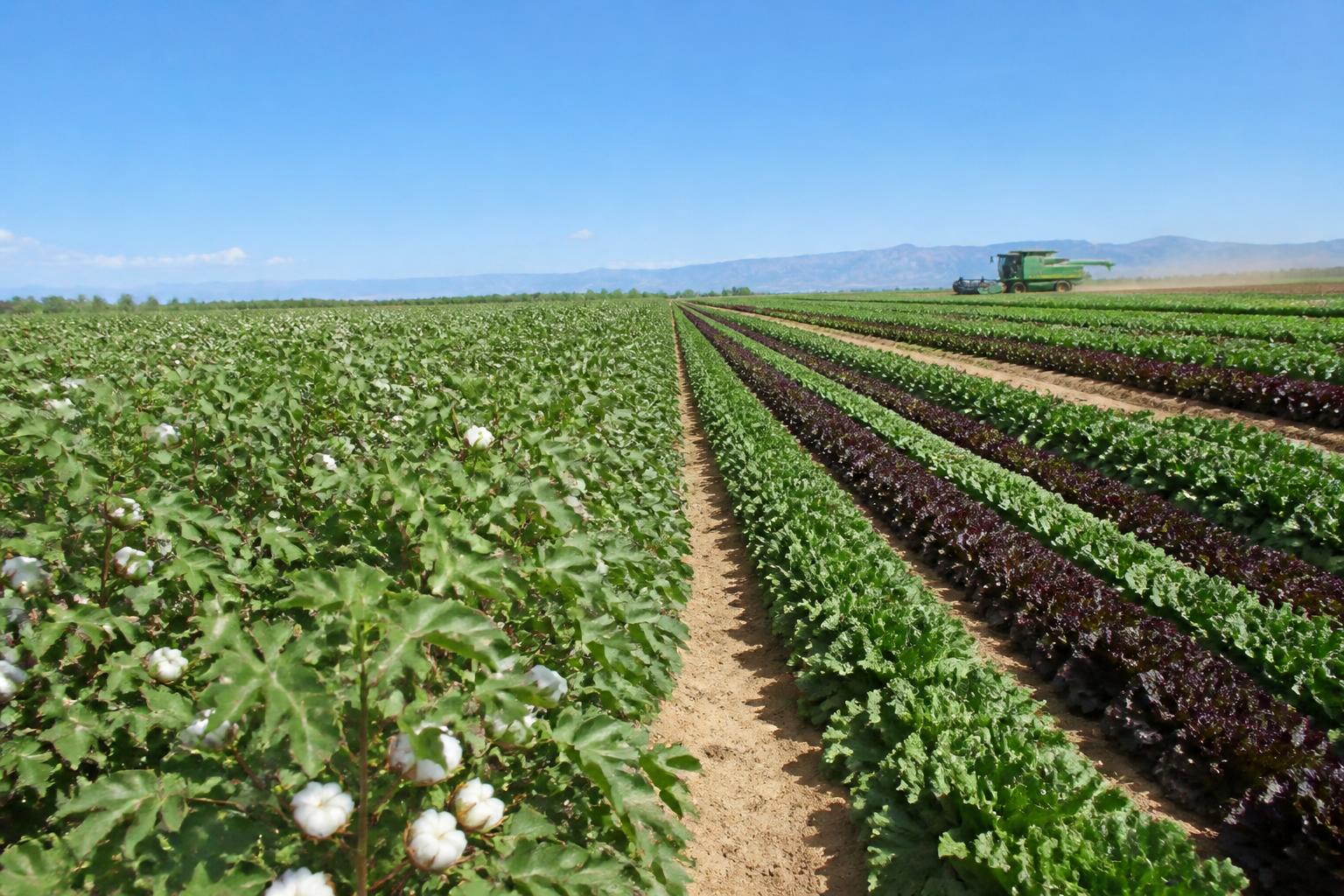 Summer Crop Protection and Biosecurity Strategies in New Mexico