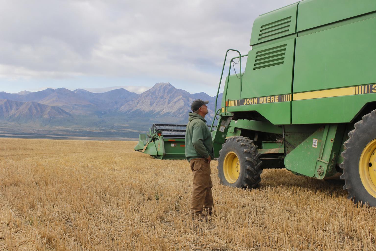 Grain Market Dynamics in Alaska: Opportunities and Challenges - AgroPost