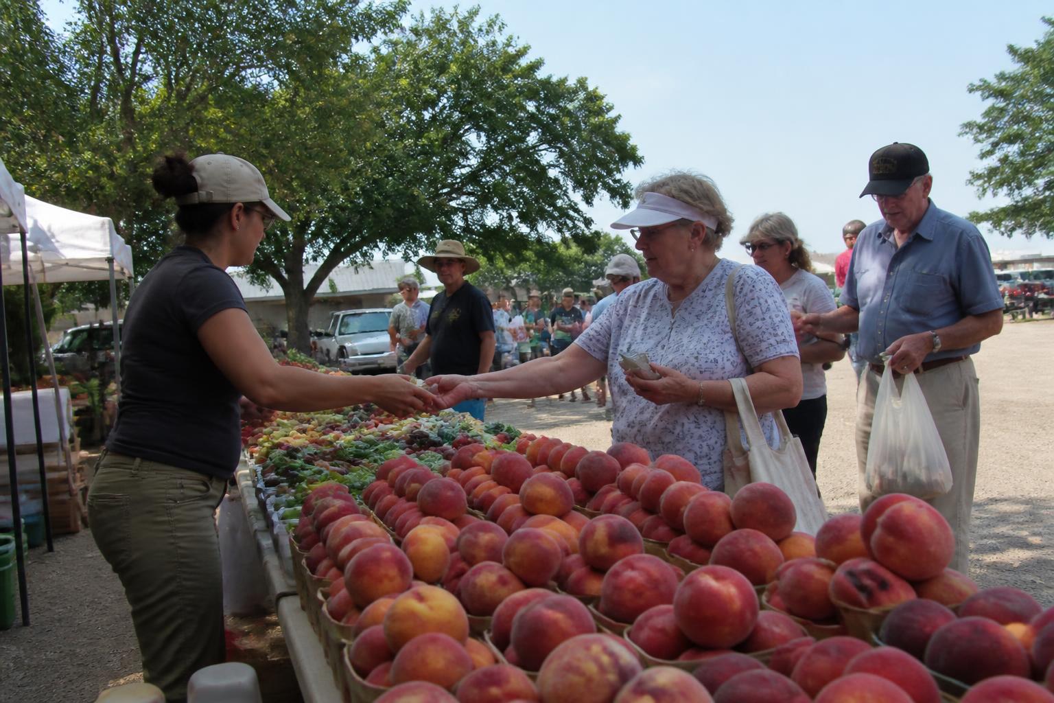 Georgia Cold Chain and Processing Expansions Reshape Summer Ag Logistics