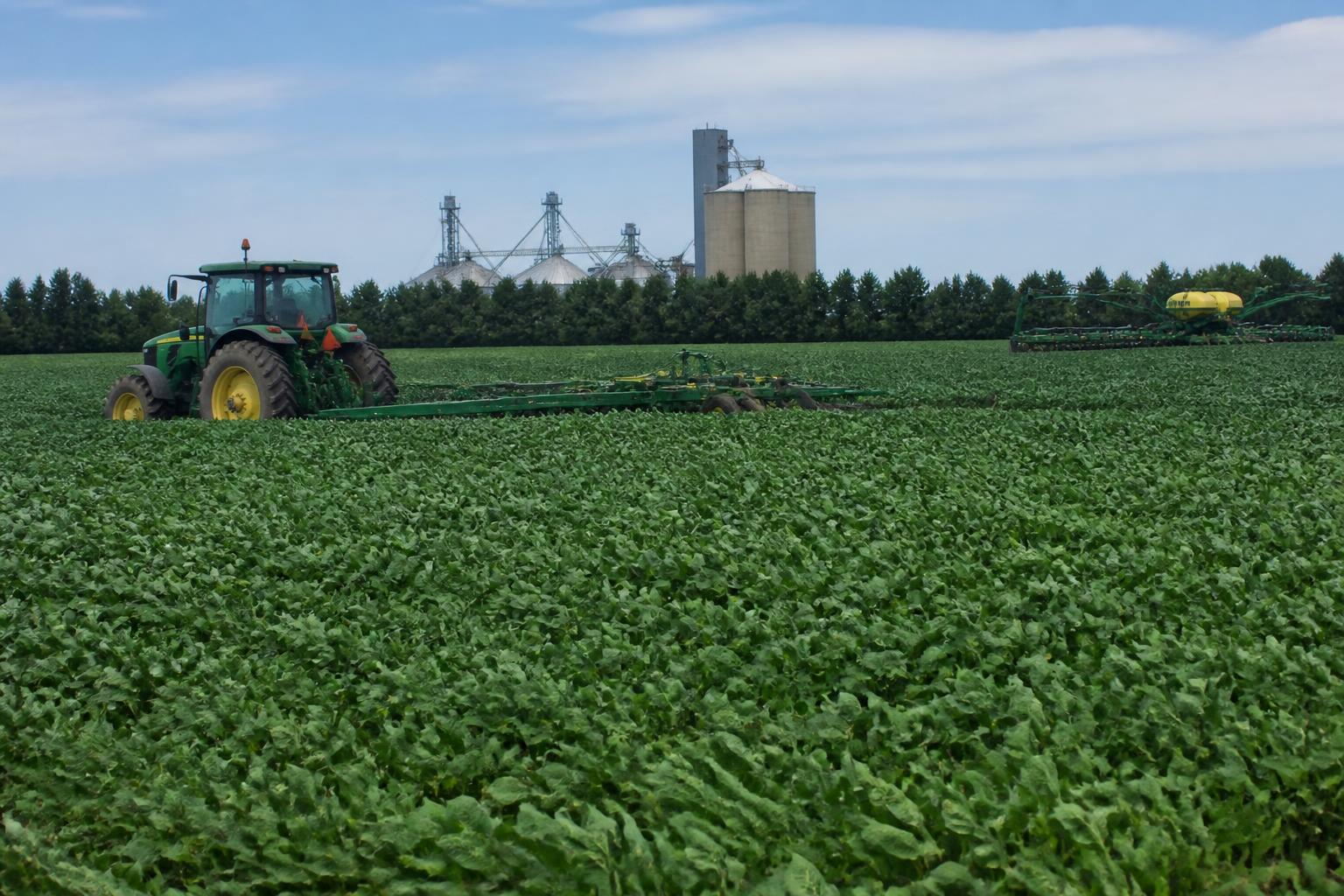 Louisiana Gulf Export Bids Gain Traction as Soybeans Lead Summer Grain Movement