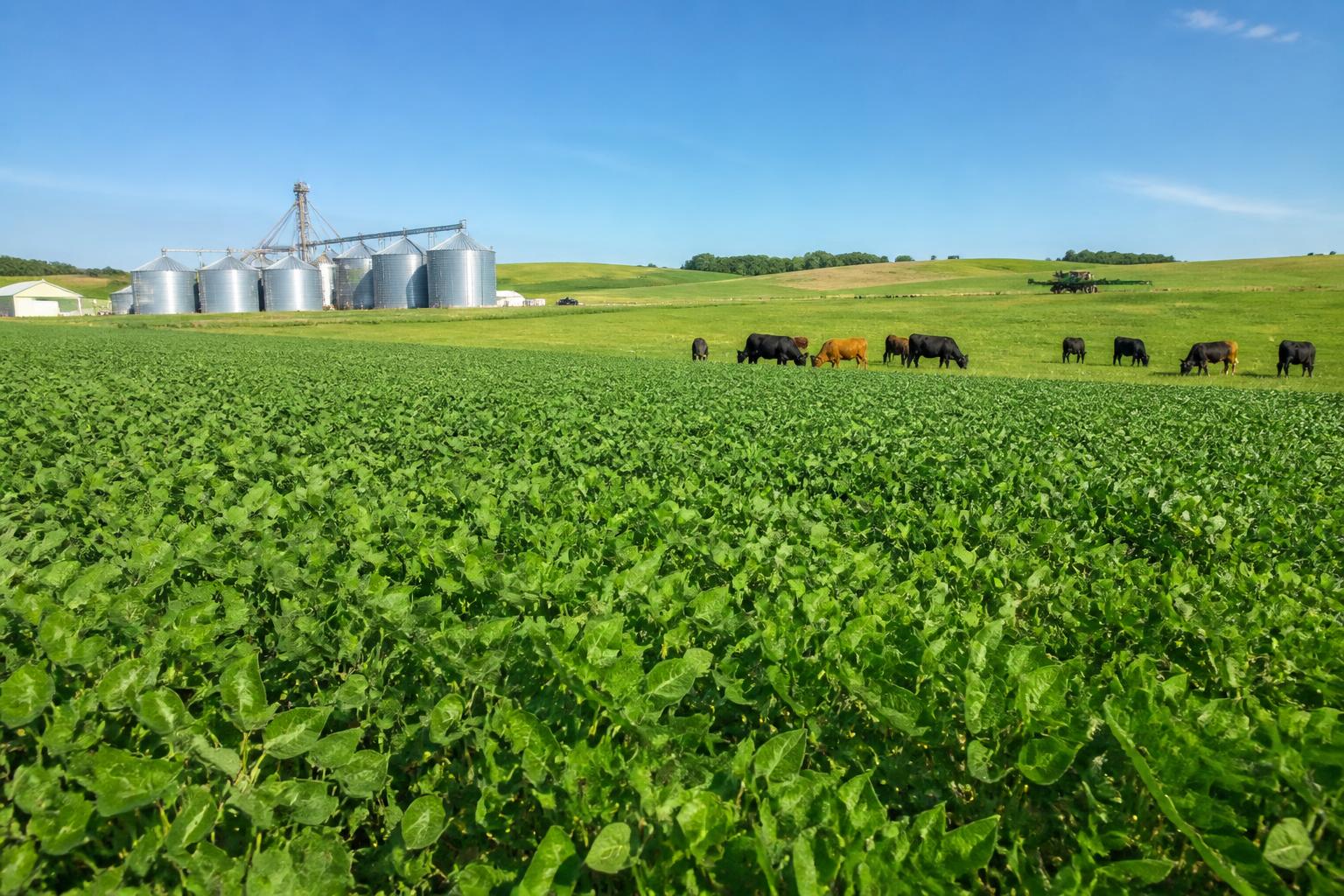 North Dakota AgTech and Logistics: Summer Innovation Drives Regional Market Shifts