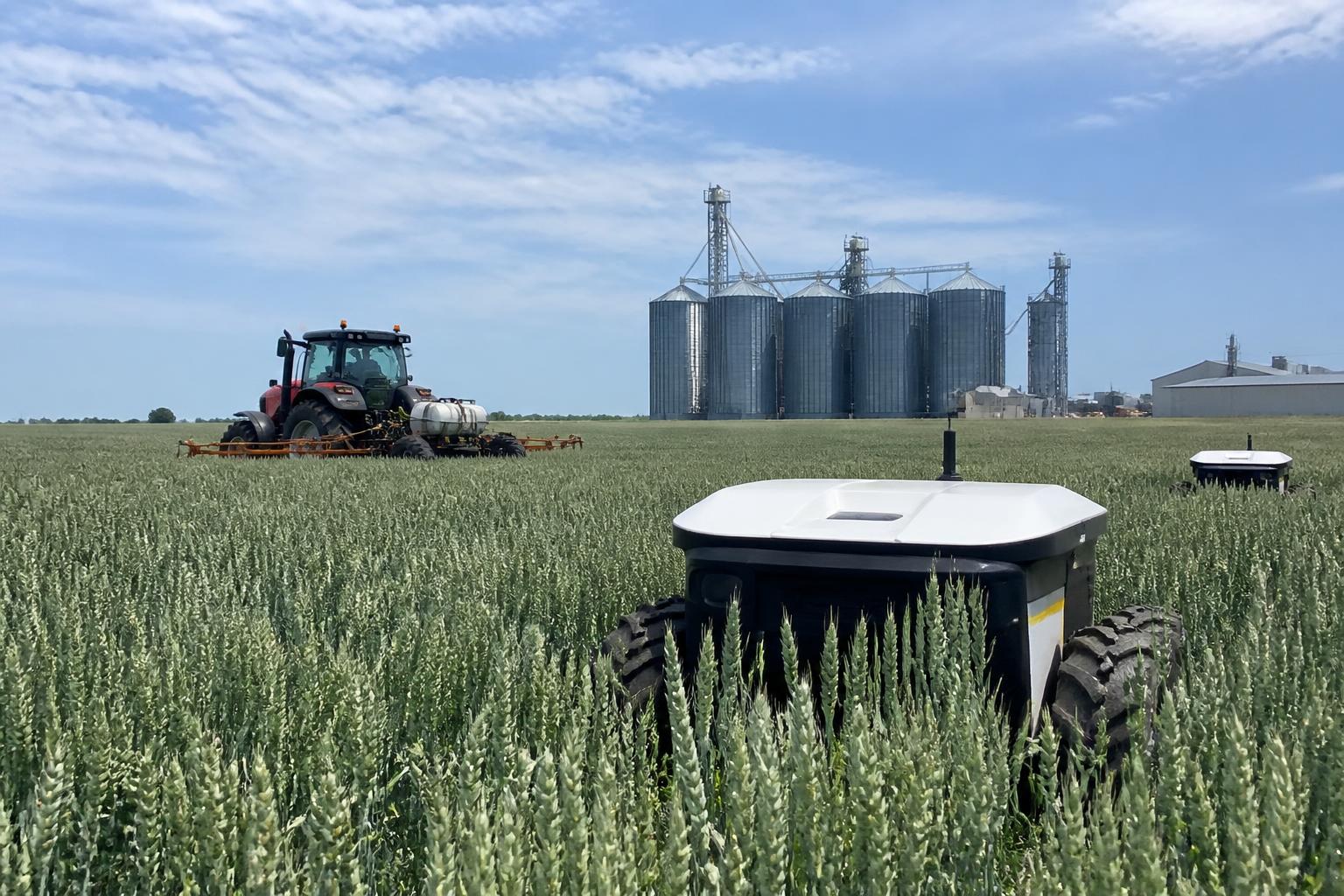 Ohio Grain Market Navigates Local Demand Shifts and Storage Decisions