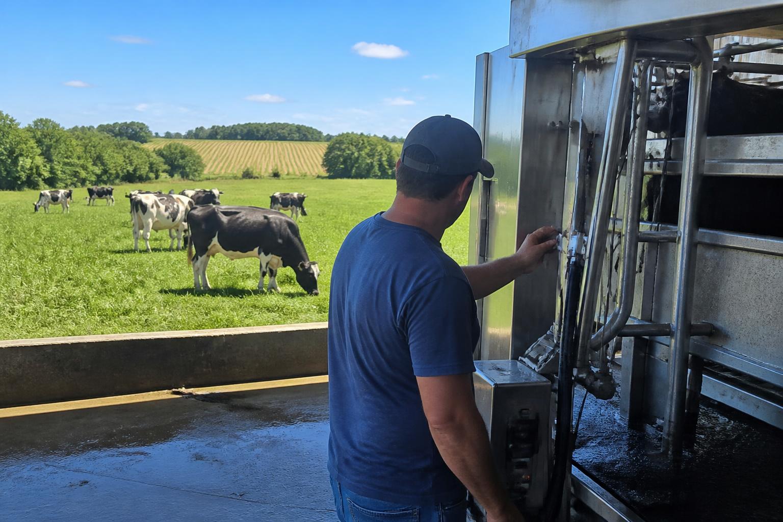 Connecticut Dairy Sector Faces Margin Squeeze as Farms Turn to Robotics and Low Grain Prices Offer Slight Relief