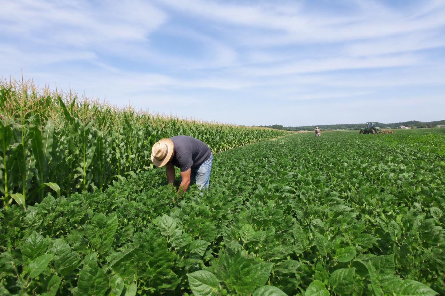 Delaware Fertilizer Market Stabilizes as Global Geopolitical Risk Premiums Recede