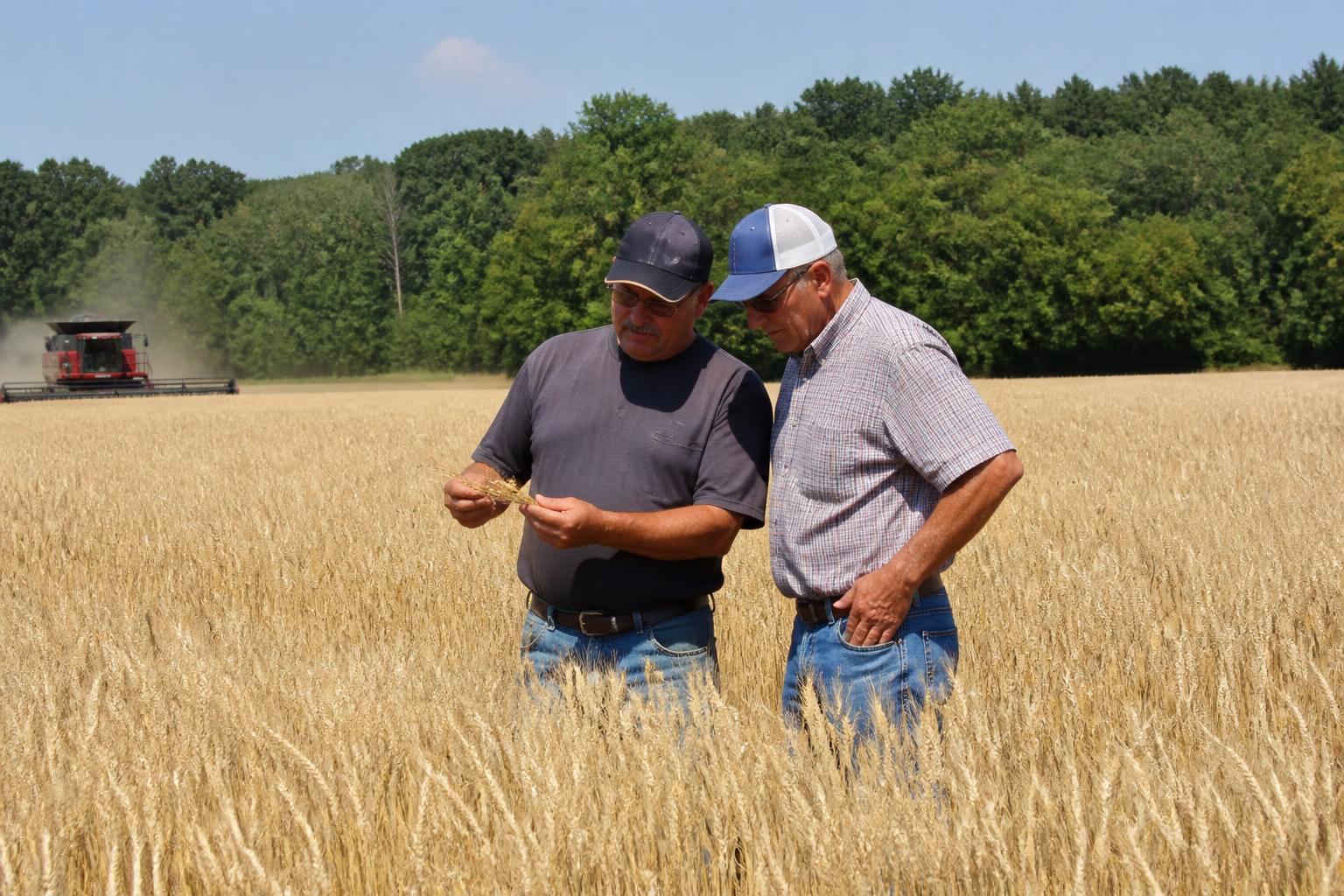New York Boosts Regional Ag Logistics with $10 Million School Food Infrastructure Funding
