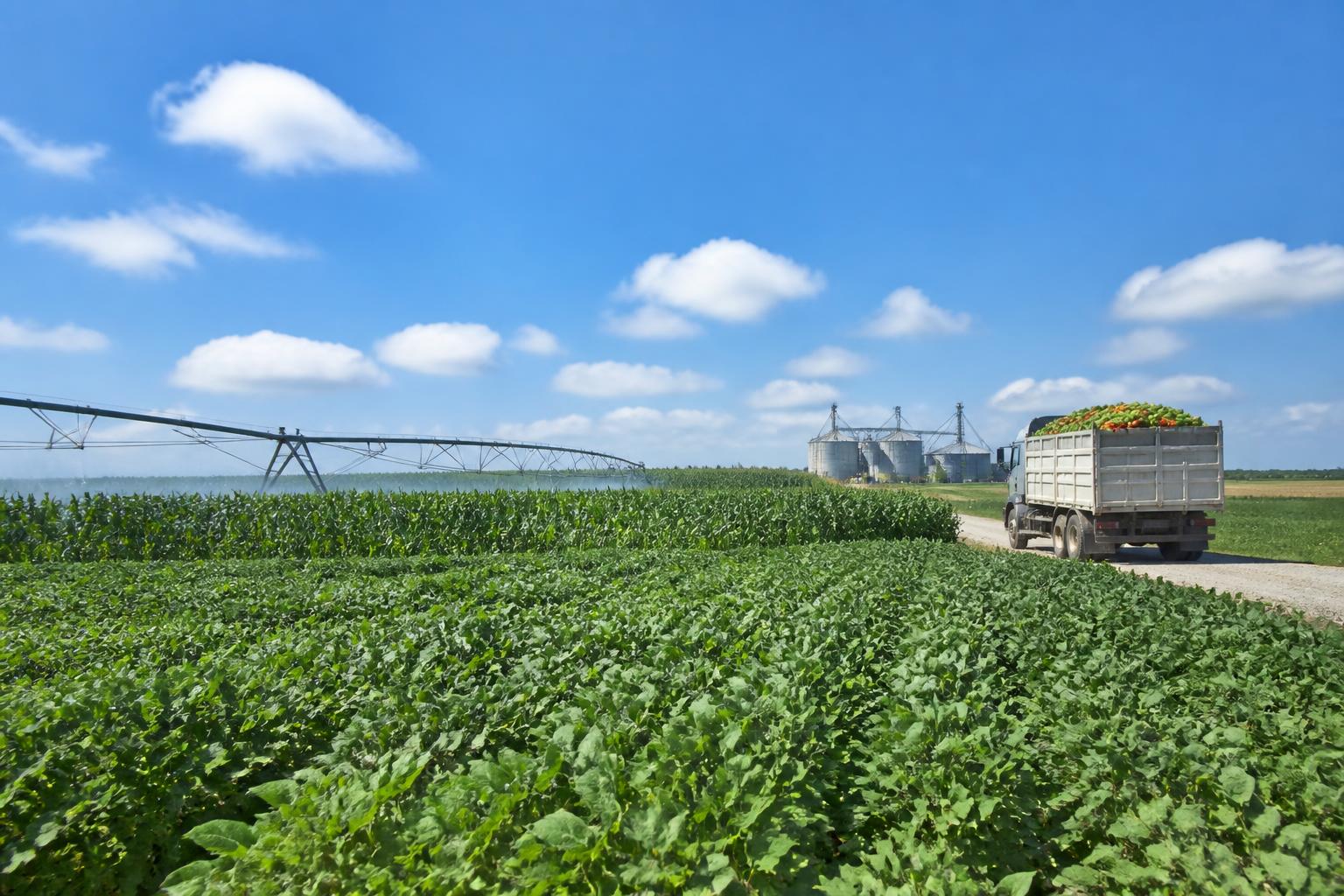 California Grain and Input Market: Navigating Biofuel Policies, Water Management, and Logistics