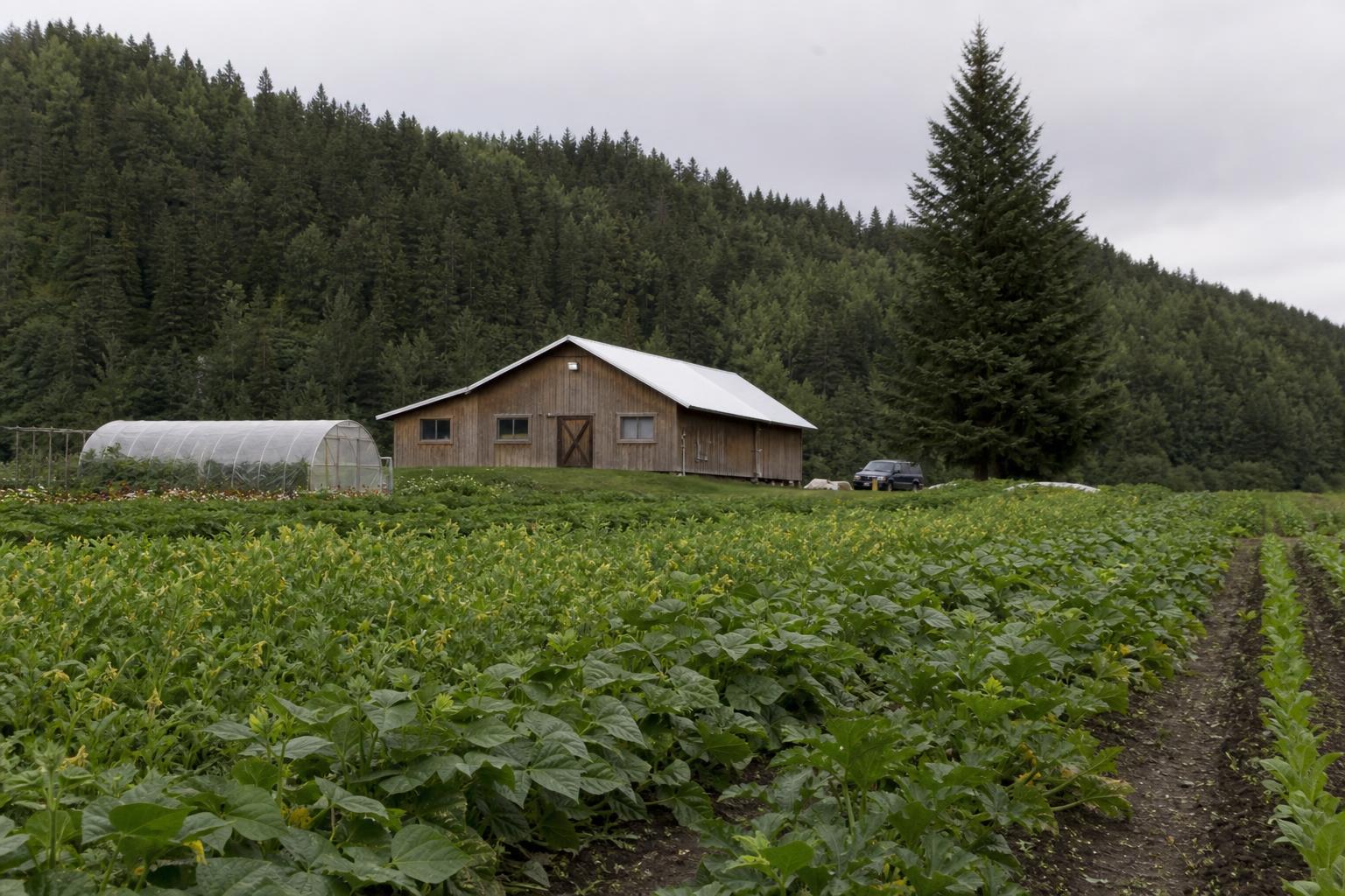 Opportunities in Alaska's Organic Farming: A Growth Frontier - AgroPost