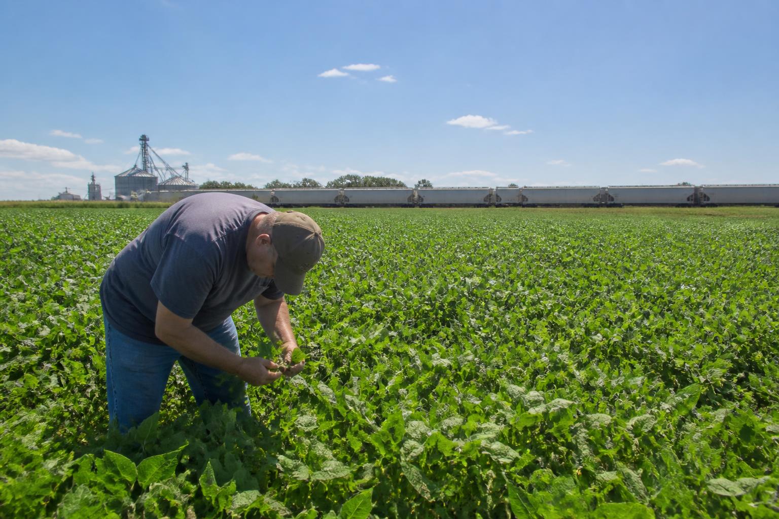 Washington Ag Update: Aquaculture Court Ruling, Farm Bill Drafts, and Summer Export Policy