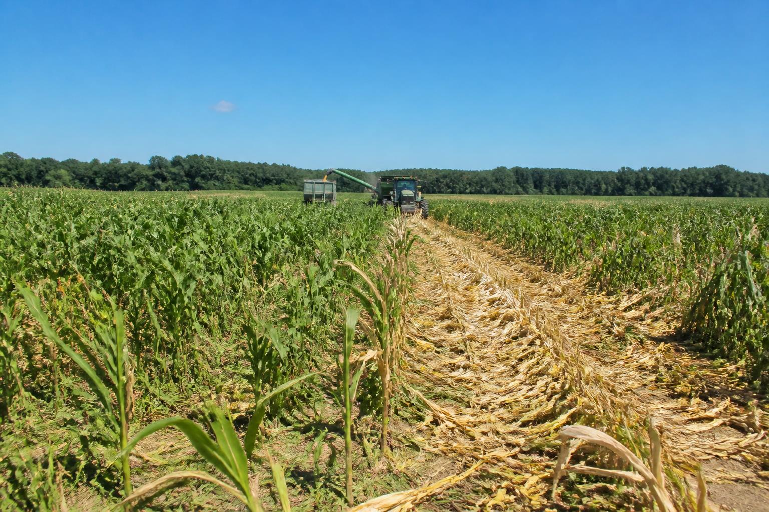 Michigan Agricultural Logistics: Infrastructure Expansions and Summer Road Management Shape Regional Shipping