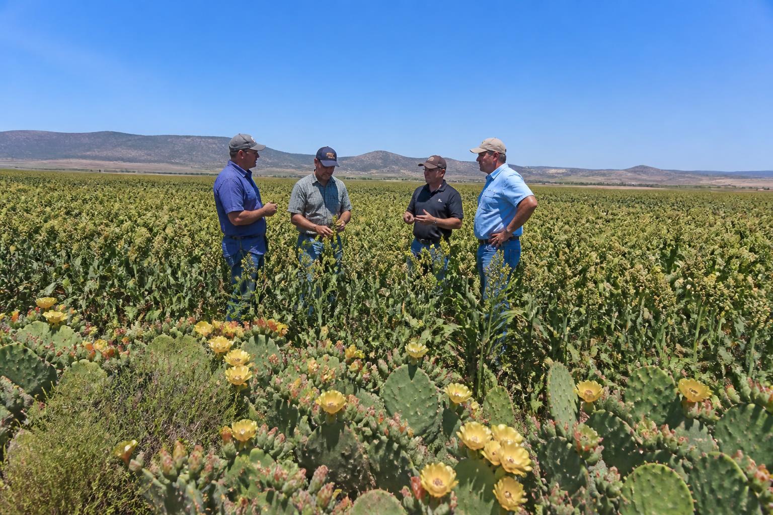 Nevada Agricultural Protection: Securing Livestock and Crops in the High-Desert Summer