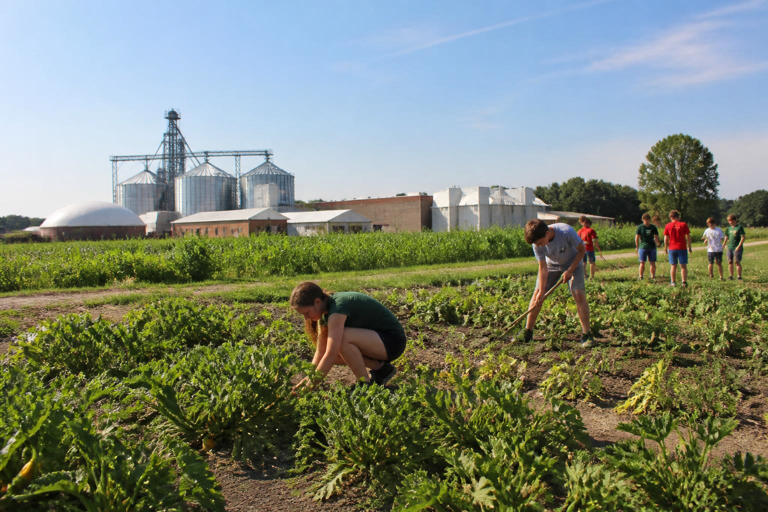 Cultivating the Future of Virginia Agribusiness: Bridging Education and Infrastructure - AgroPost